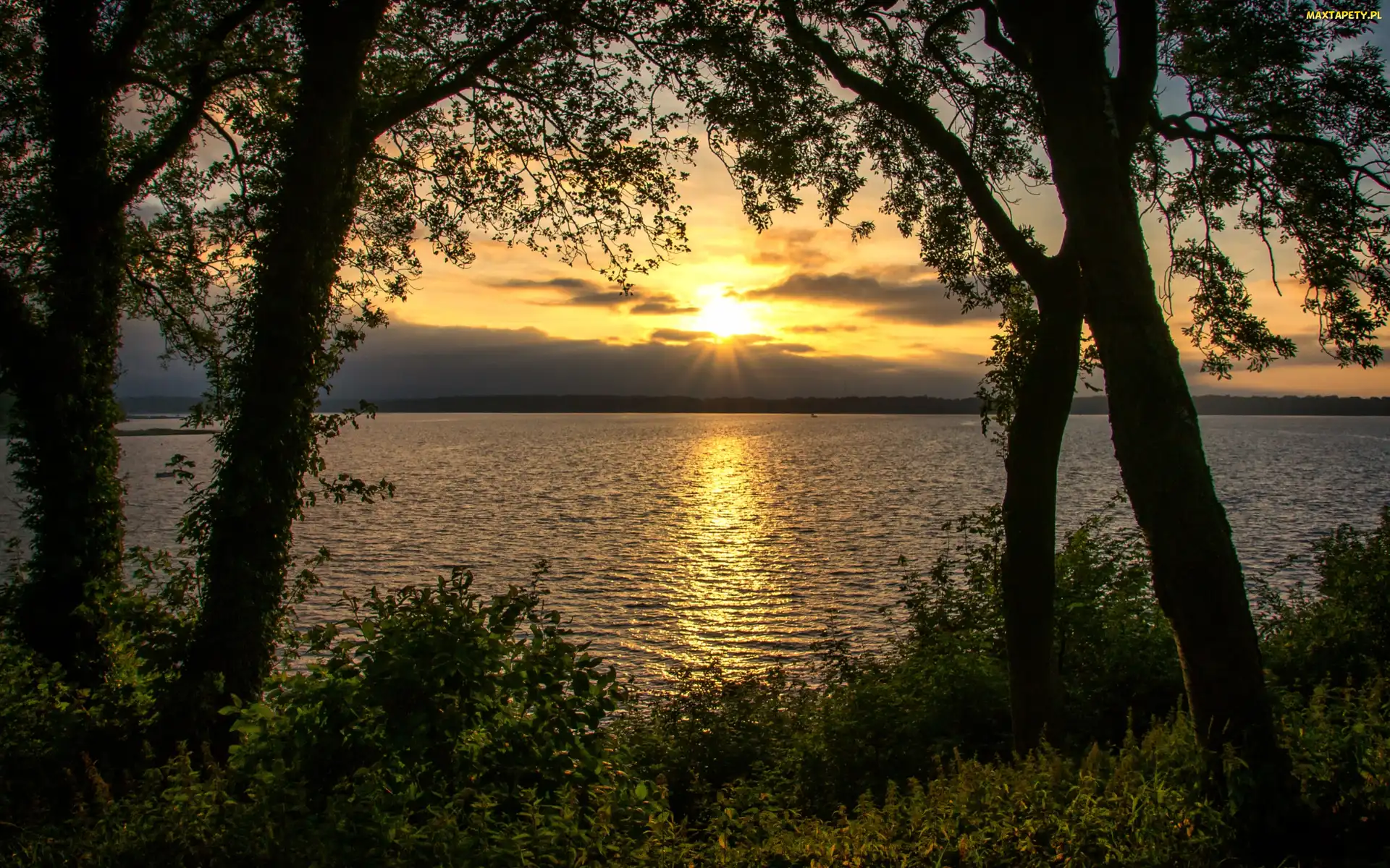 Drzewa, Zachód Słońca, Jezioro
