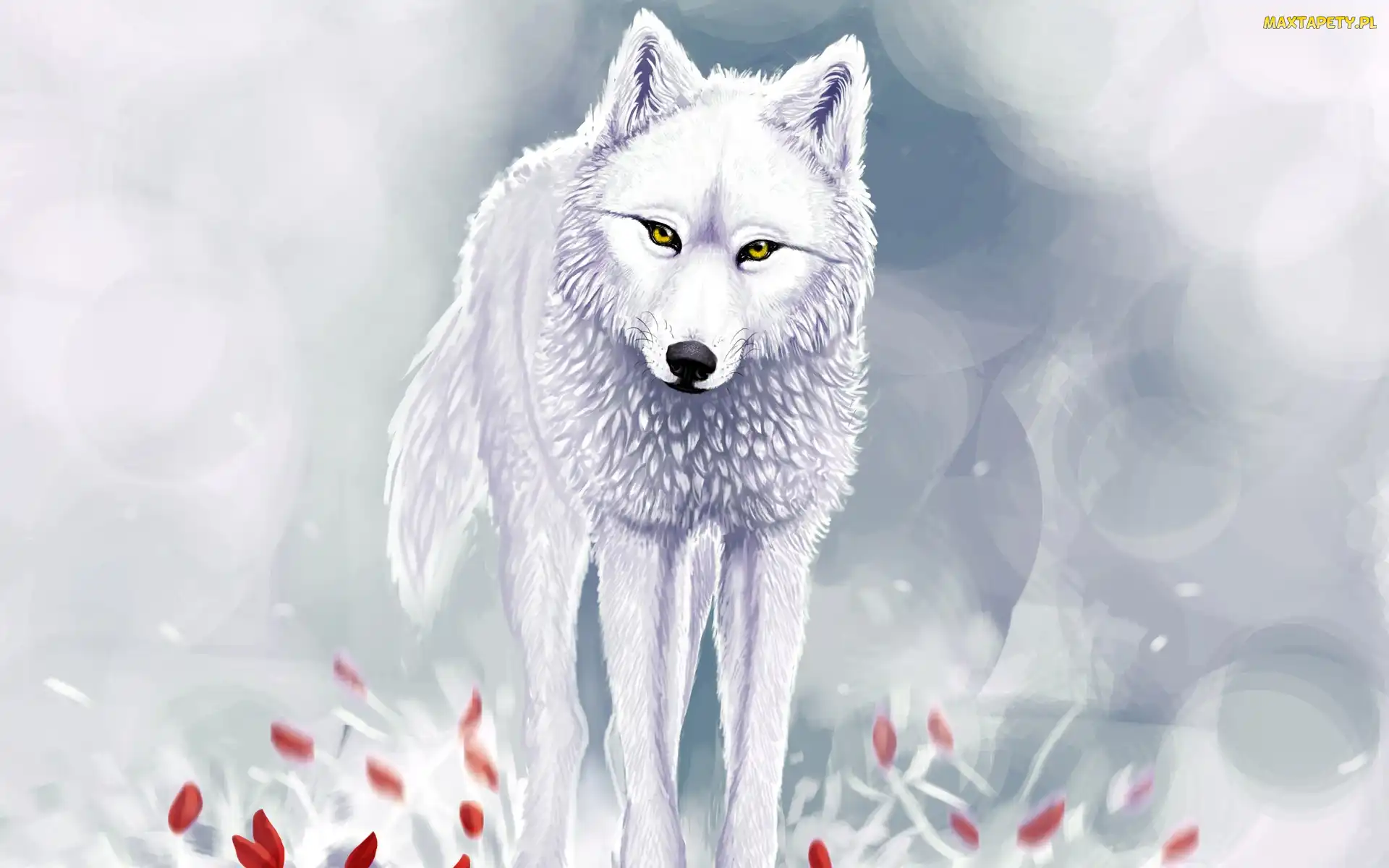 Grafika, 2D, Wilk