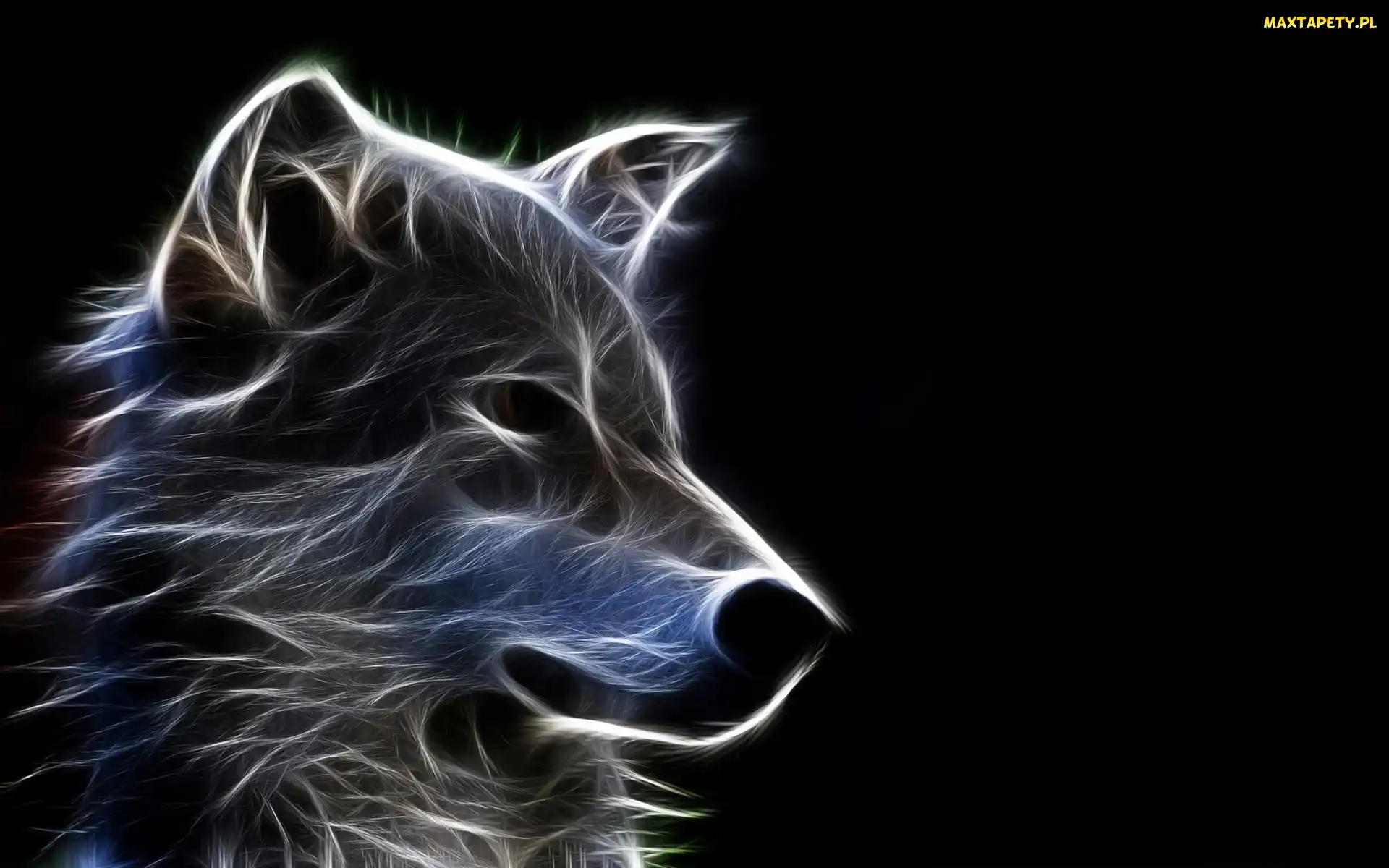 Fractalius, Wilk