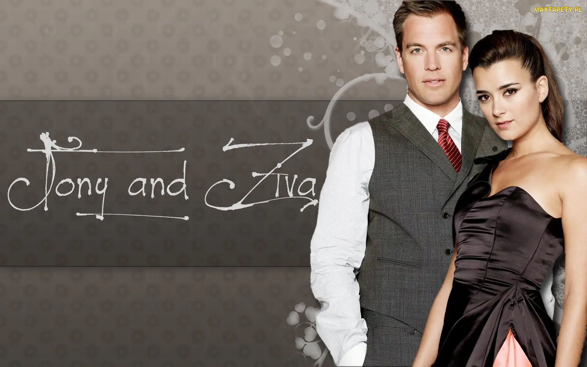 Cote de Pablo, Michael Weatherly, Seriale, Agenci NCIS