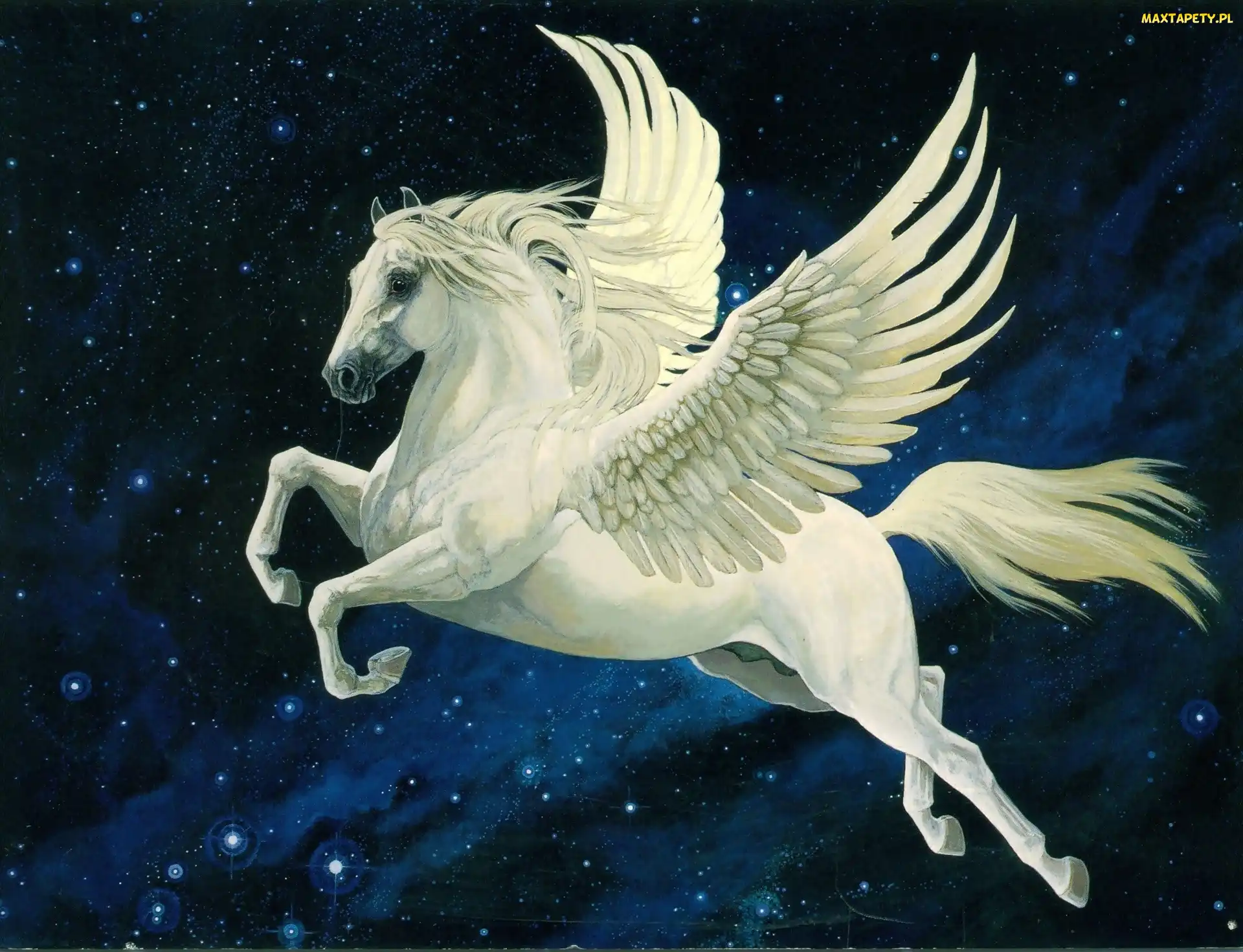 Pegaz, Biały, Skrzydlaty, Koń, Fantasy