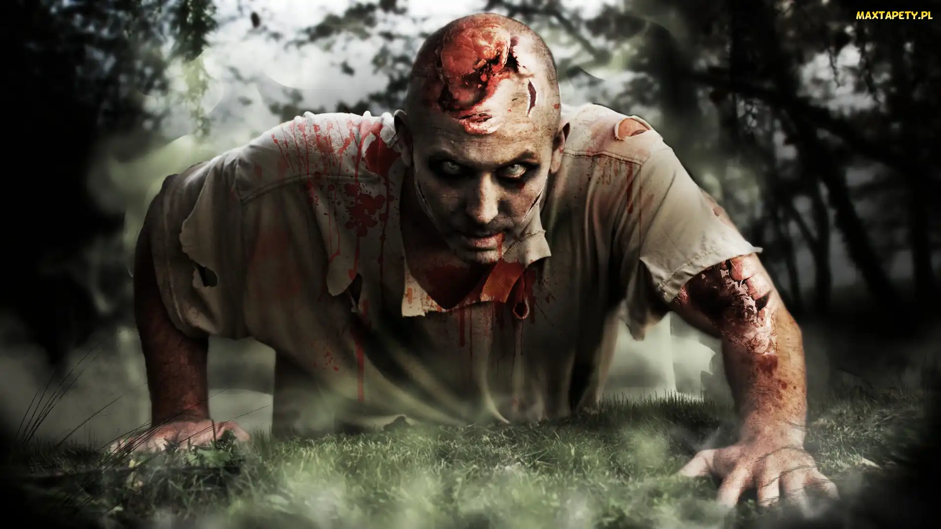 krew, Las, Zombi