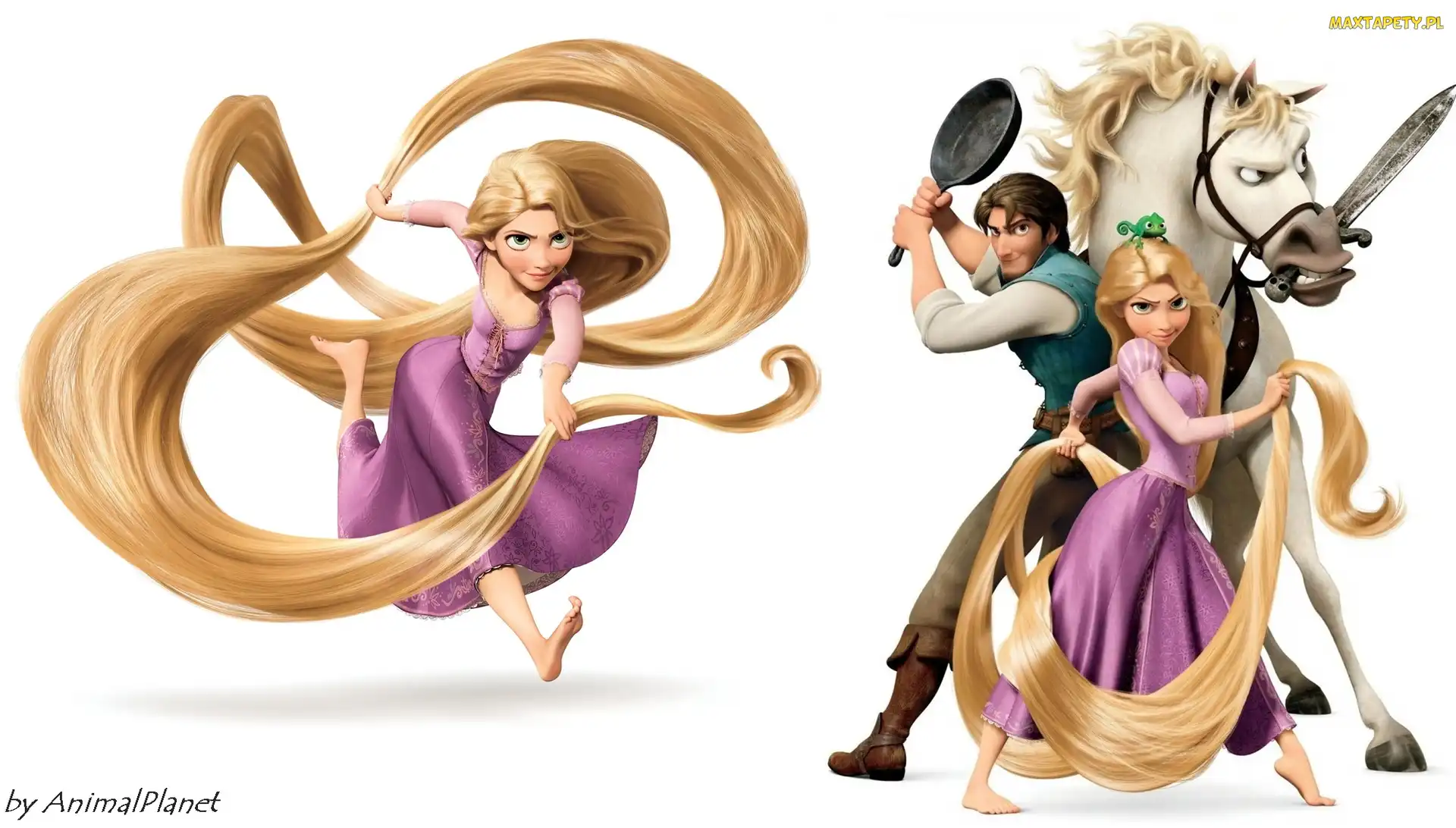 Bajka, Tangled, Zaplątani