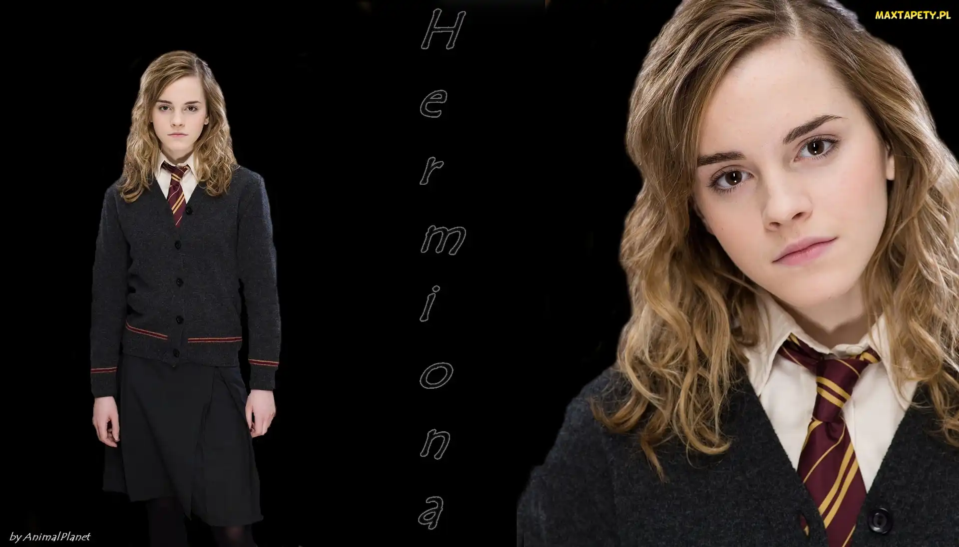 Aktorka, Kobieta, Potter, Watson, Film, Harry, Emma