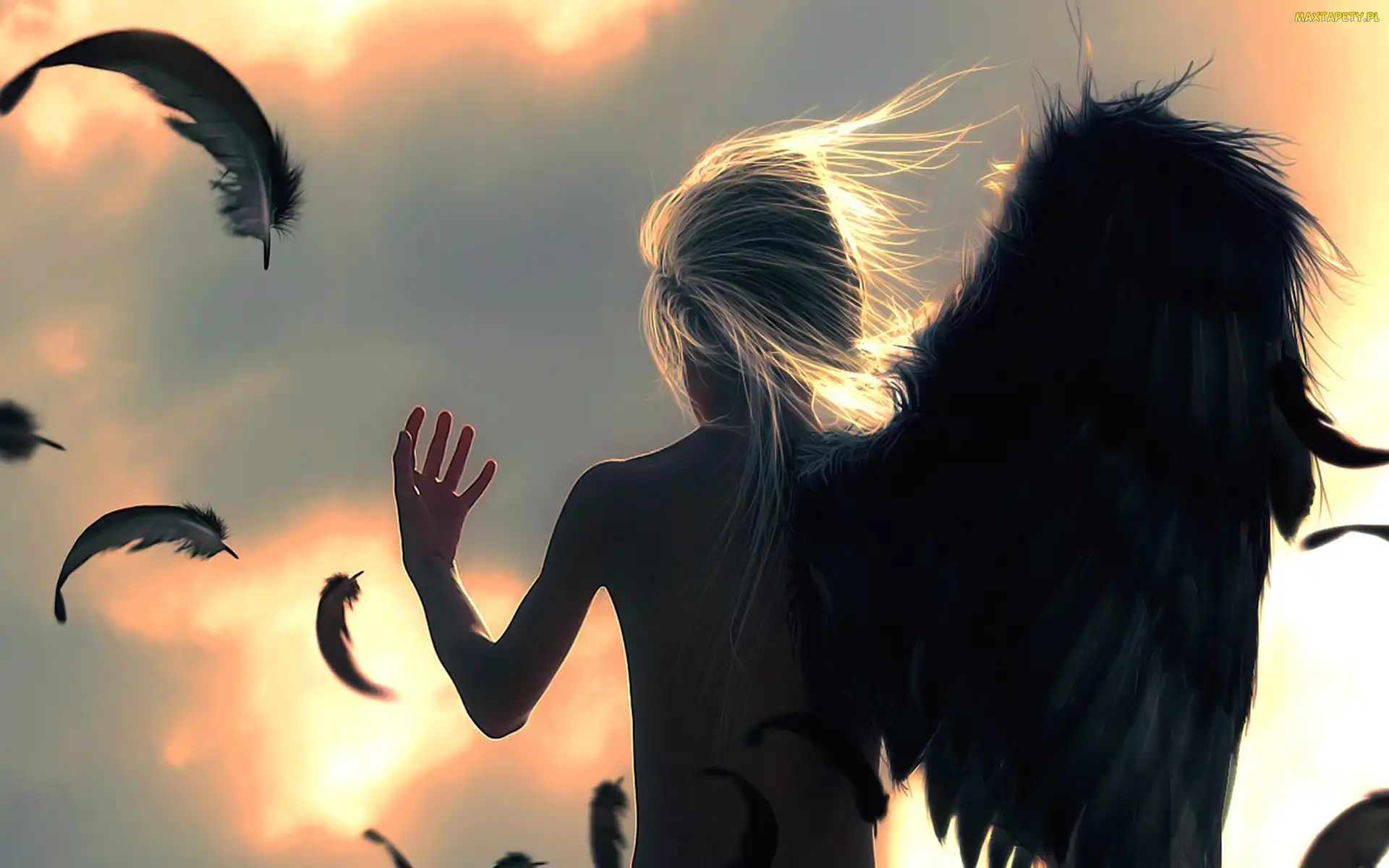 Anioł, Fantasy, Pióra, Skrzydło, Kobieta