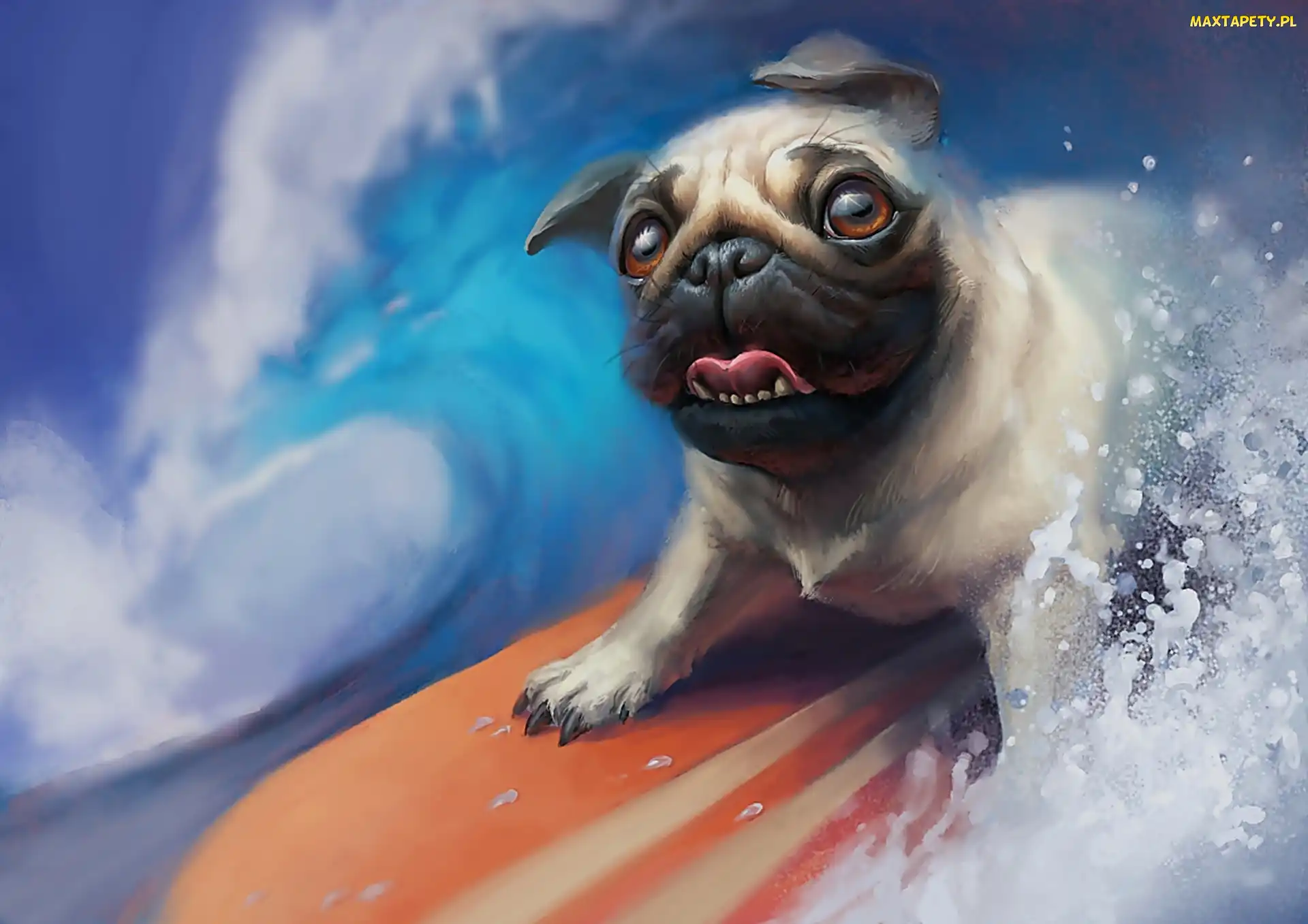 Śmieszne, Pies, Grafika, Surfing, Woda, Deska