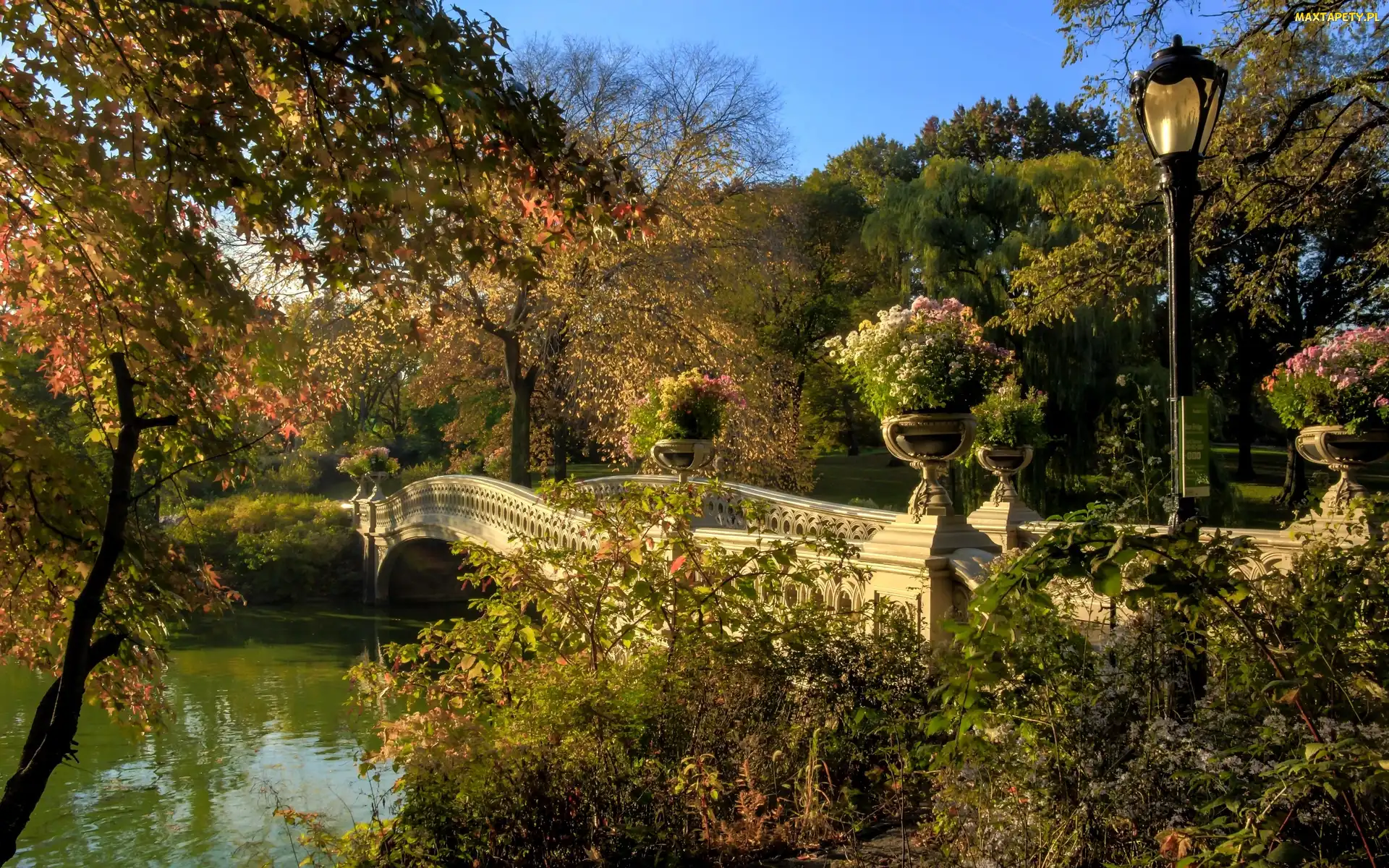 Jesień, Drzewa, Park, Most