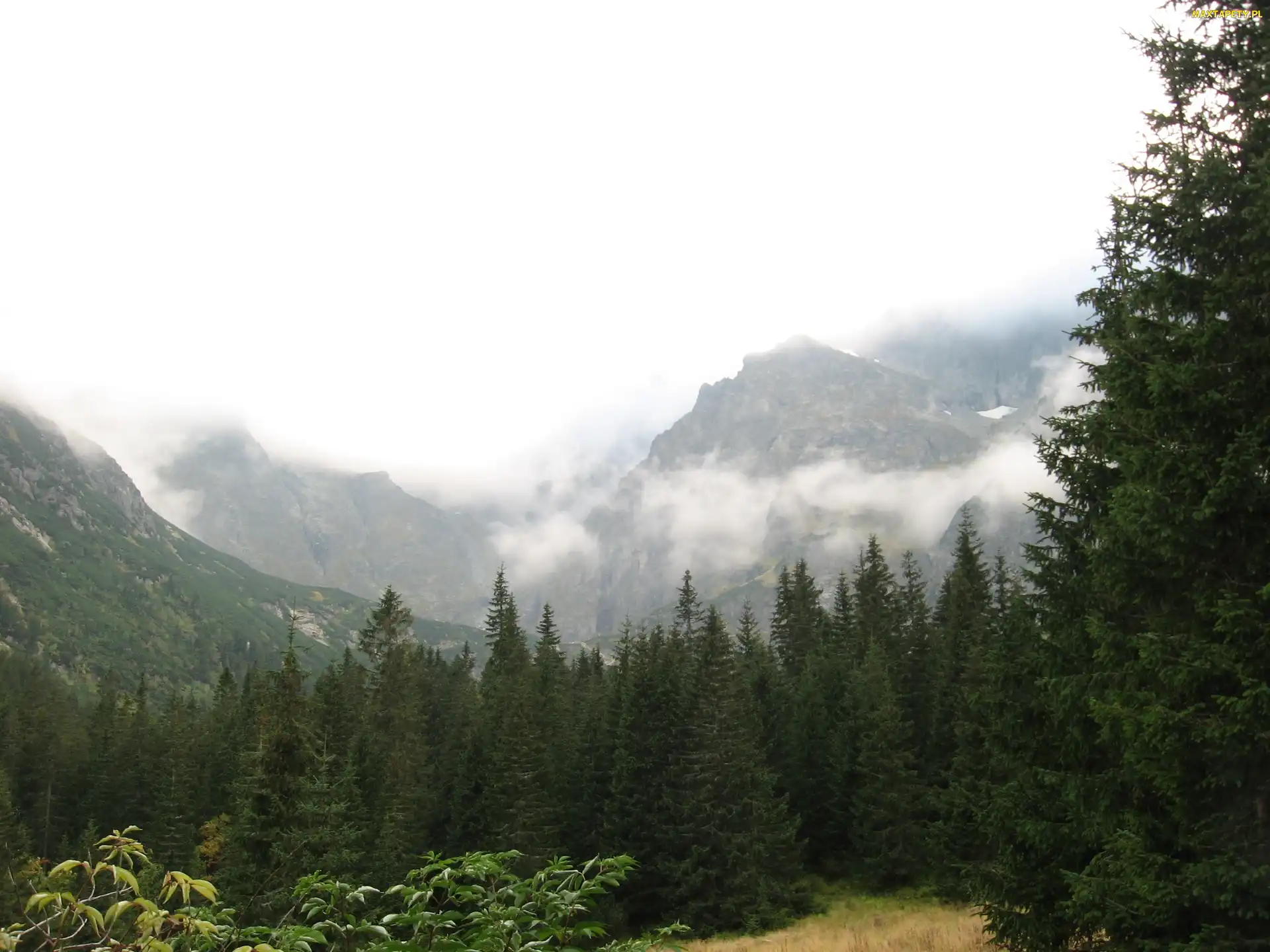 Mgła, Góry, Polska, Zakopane