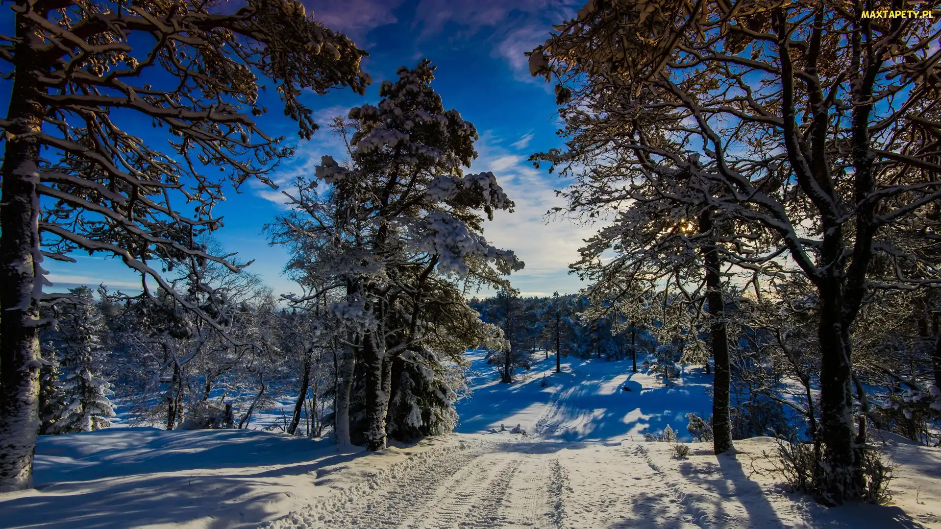 Droga, Zima, Słońce, Wonderland, Norwegia, Zimowe, Drzewa