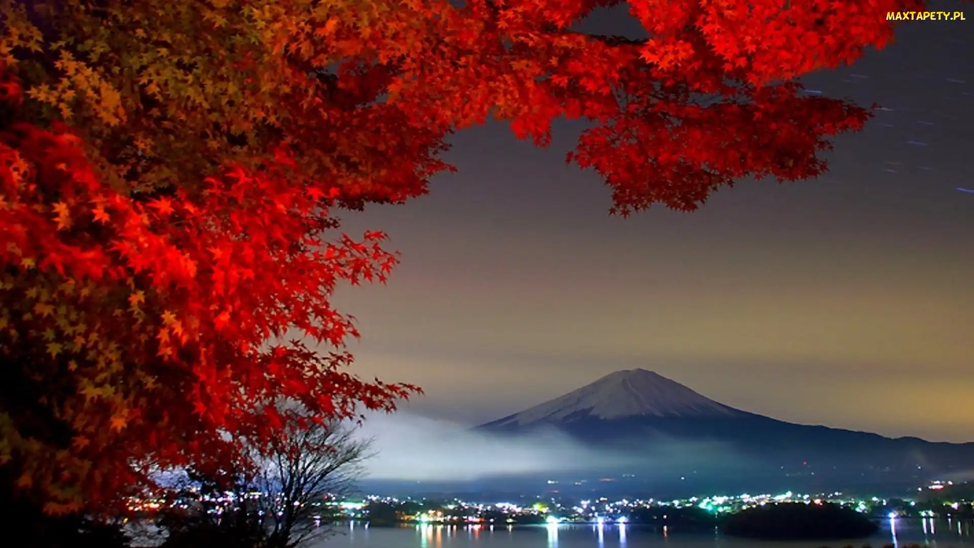 Wulkan Fudżi, Drzewo, Natura, Oświetlone Miasto, Japonia