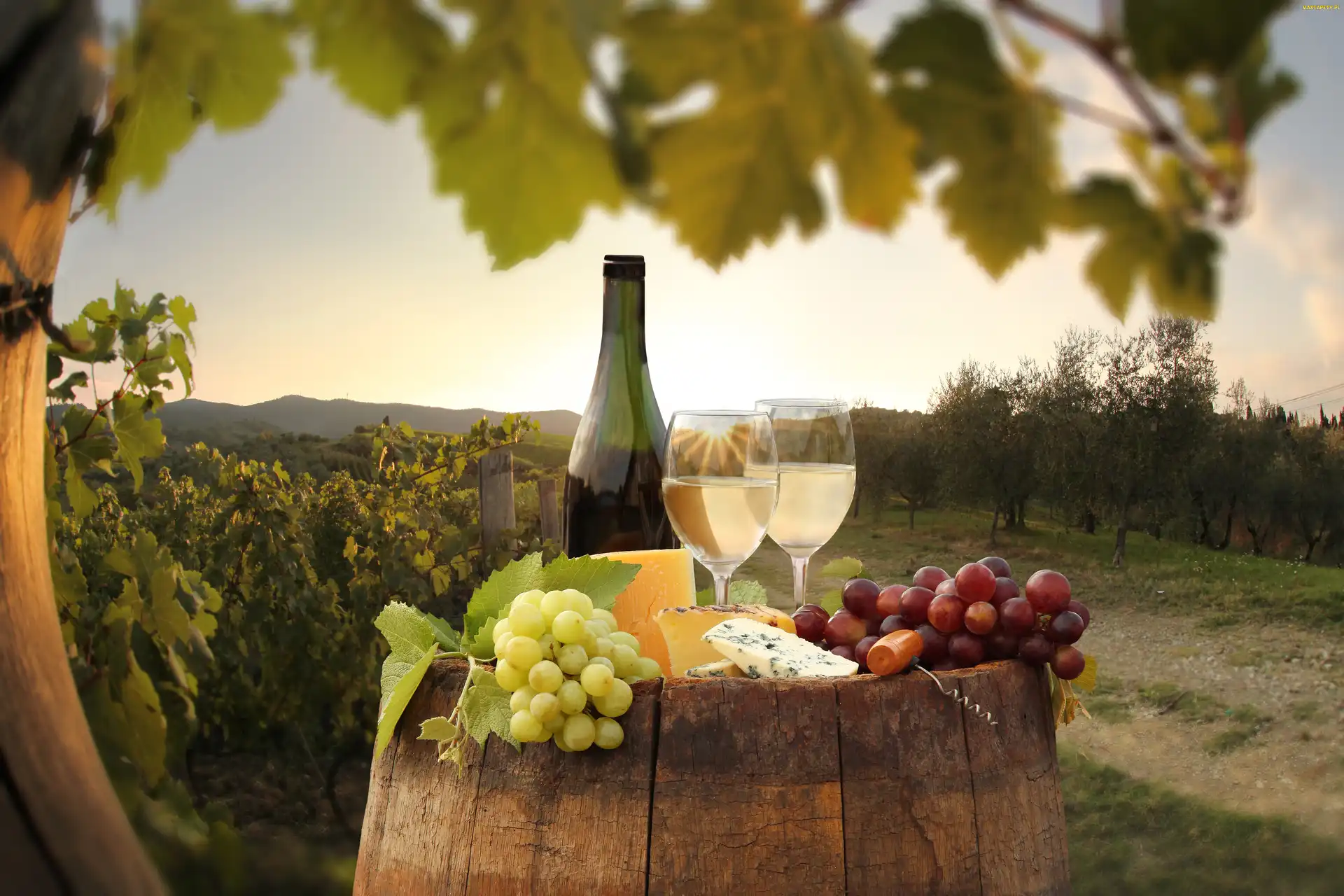 Wino, Winnica, Sad, Winogrona, Butelka