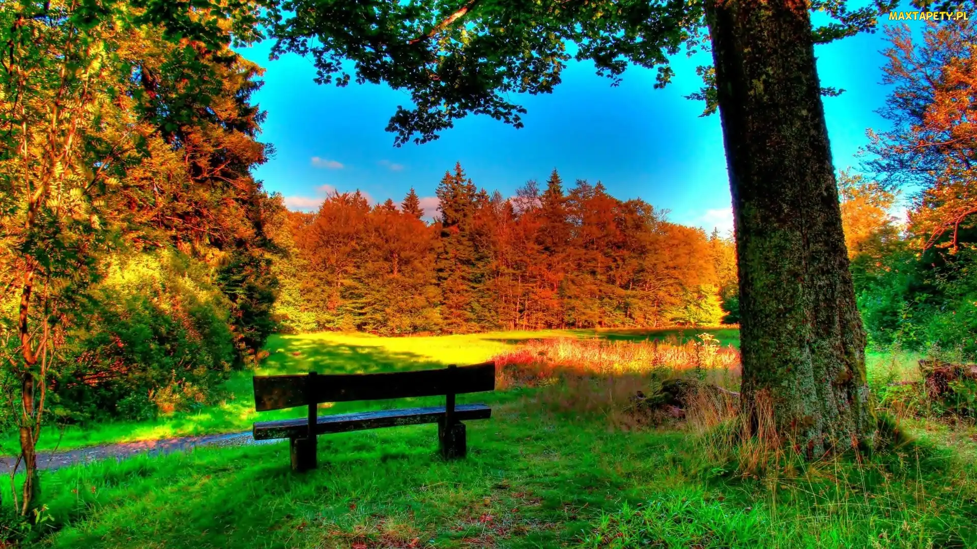Ławka, Jesień, Park
