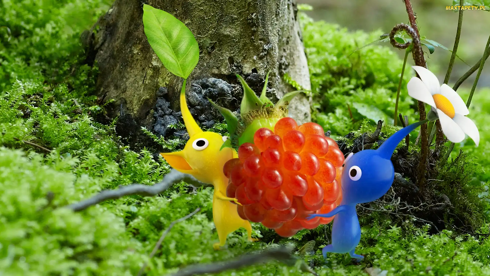 Las, Pikmin, Listek, Kwiatek, Malina