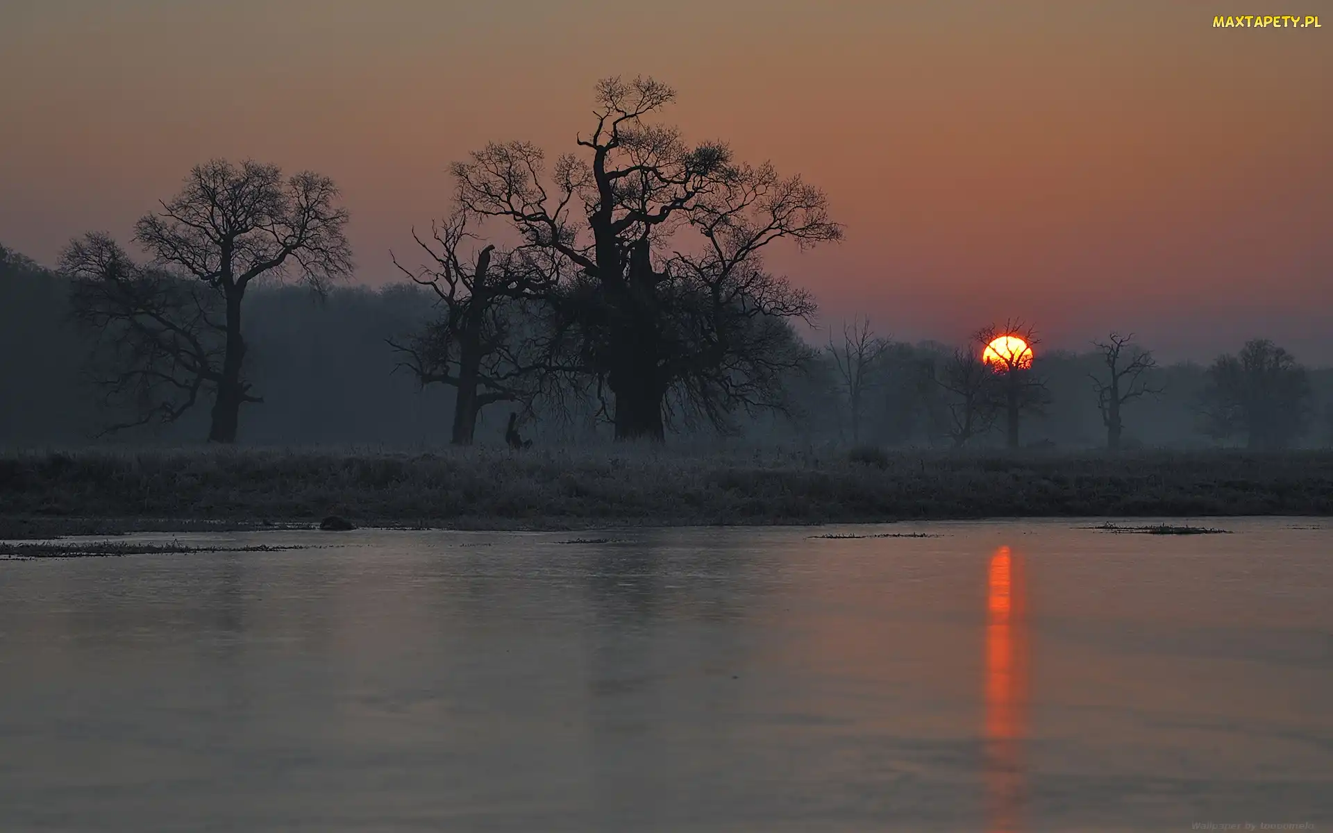 Mgła, Jezioro, Wschód słońca, Rogalin