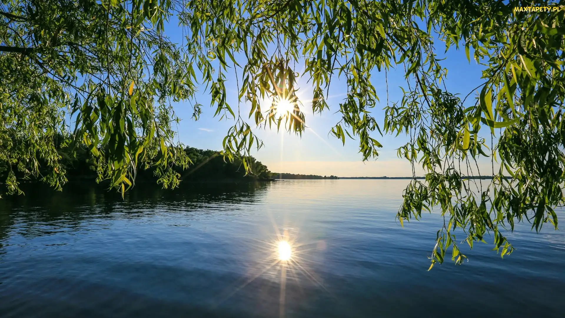 Las, Słońce, Jezioro