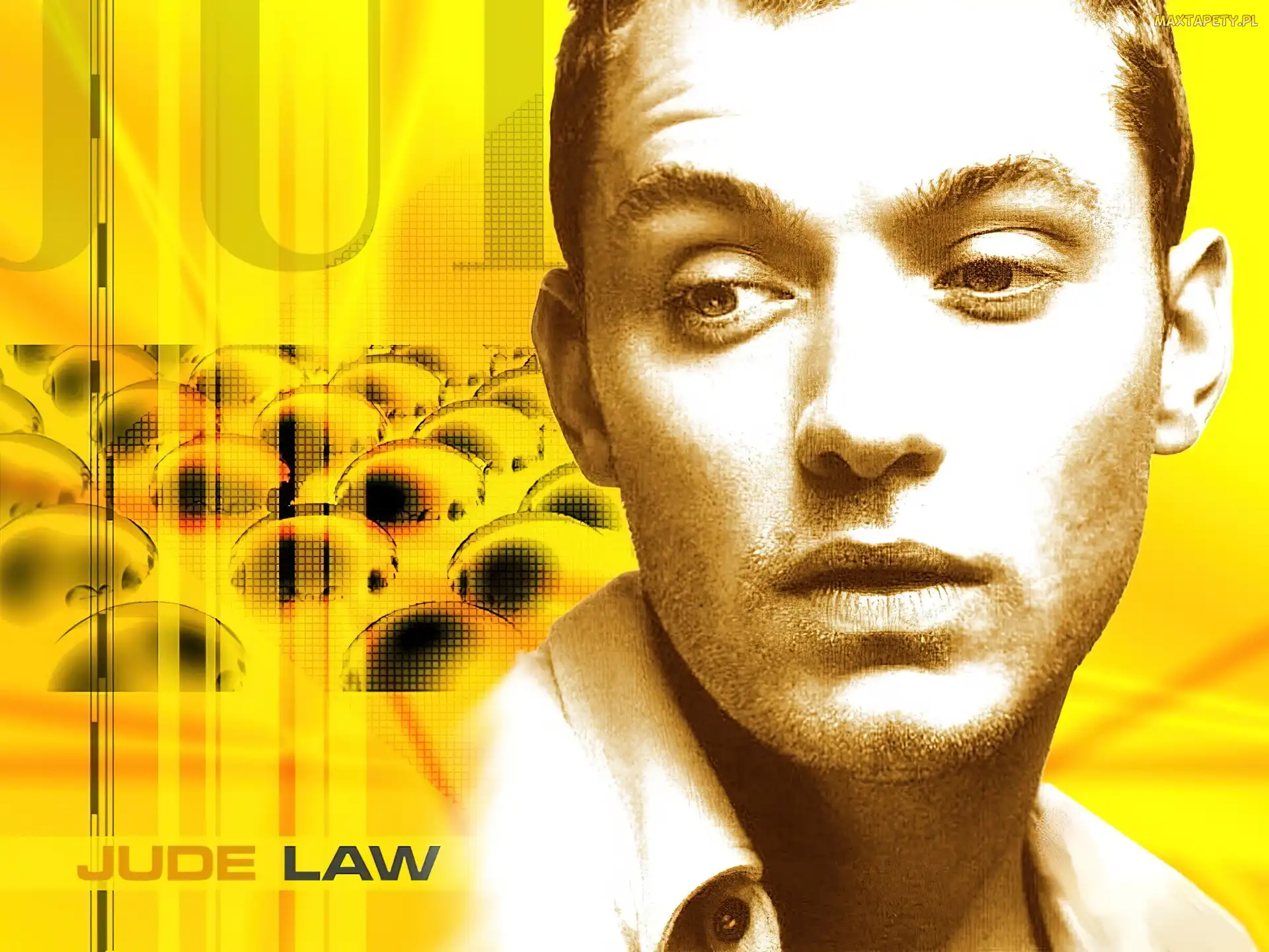 biała koszula, Jude Law