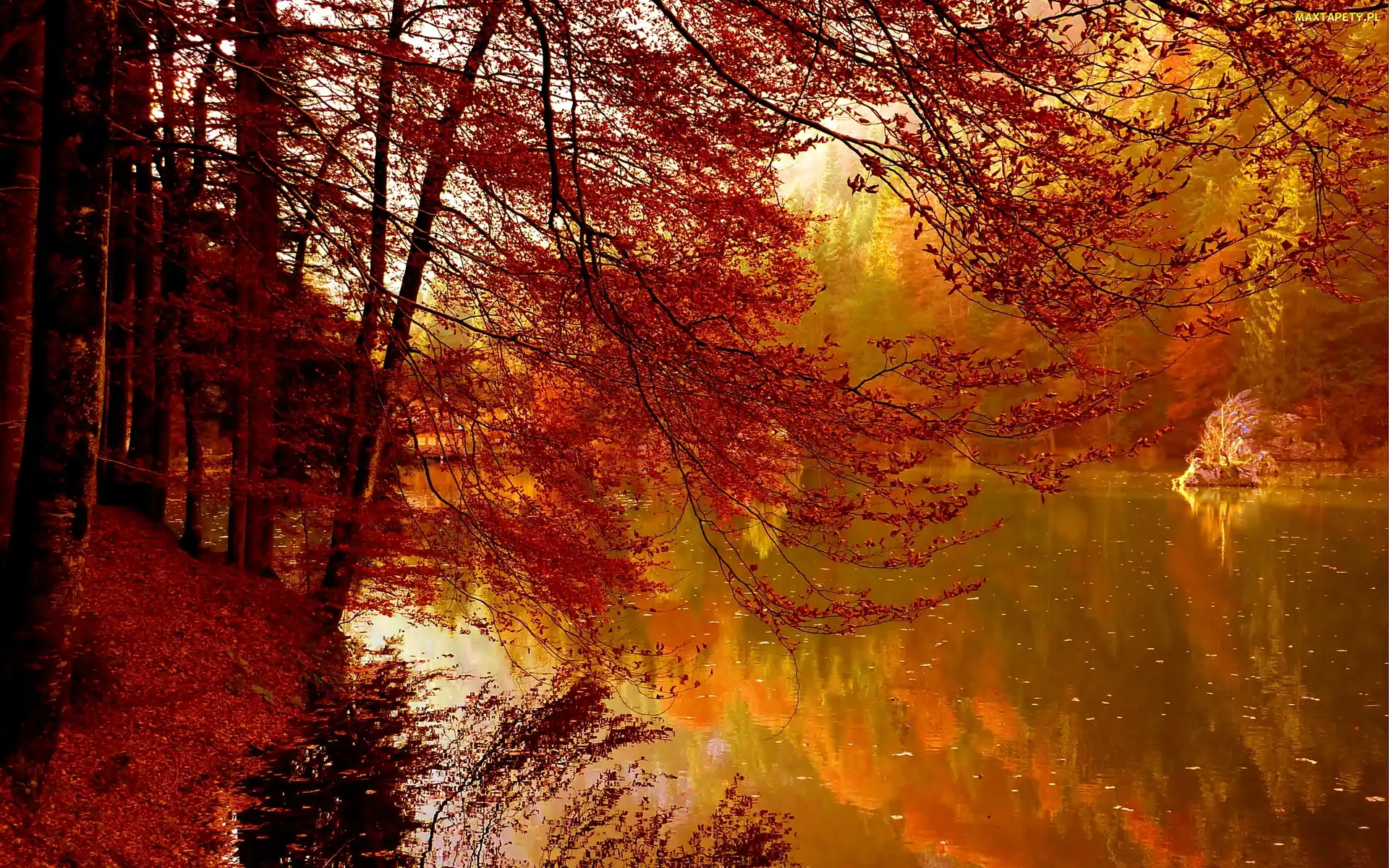 Ścieżka, Las, Jesień, Jezioro