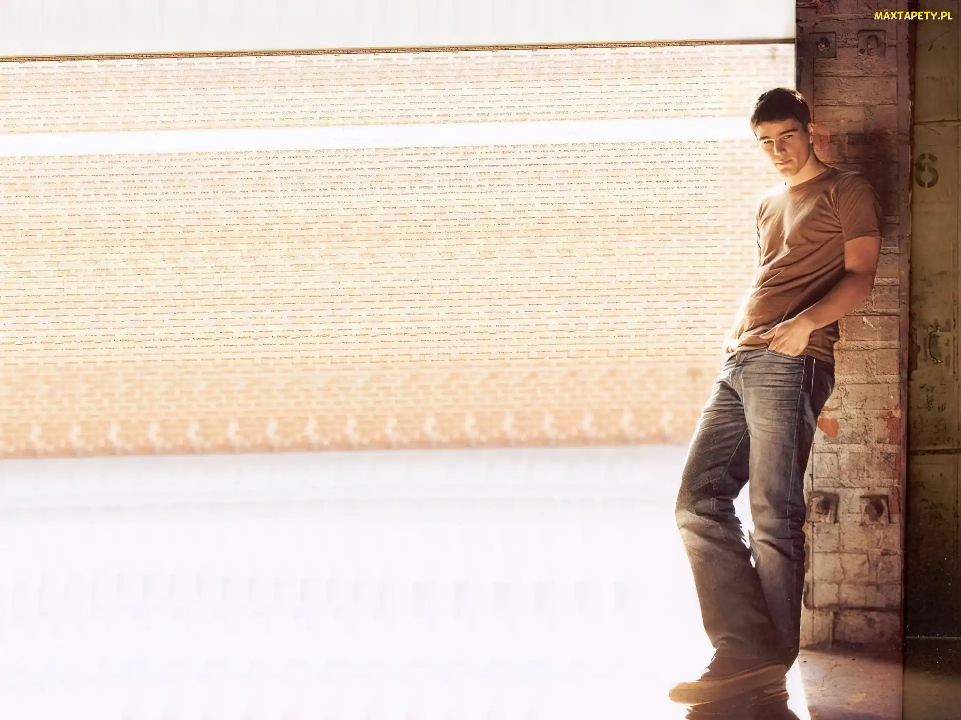 brązowa koszulka, jeansy, Josh Hartnett