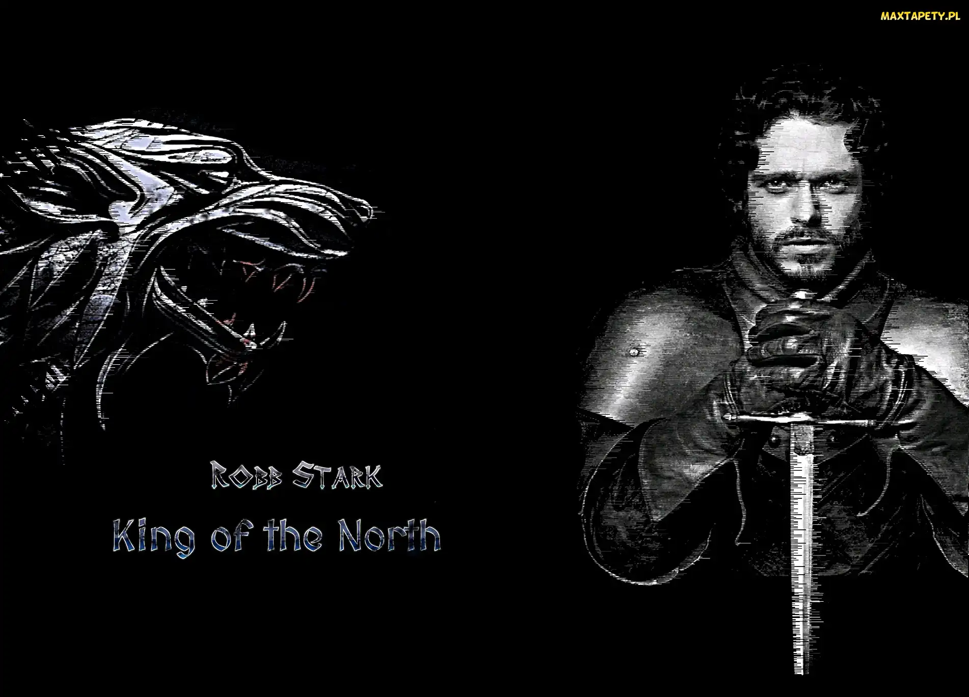 Wilk, Robb Stark, Gra o tron, Game of Thrones