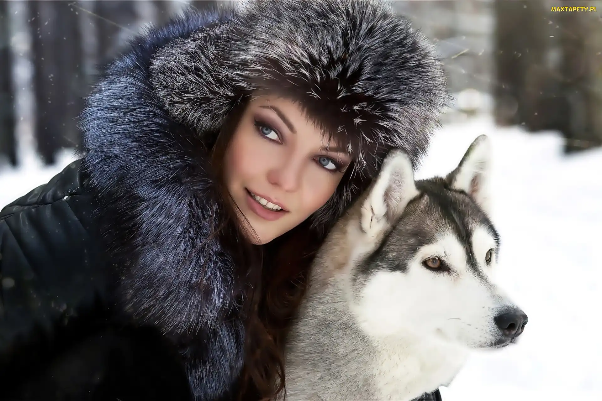 Siberian Husky, Pies, Kobieta, Czapka