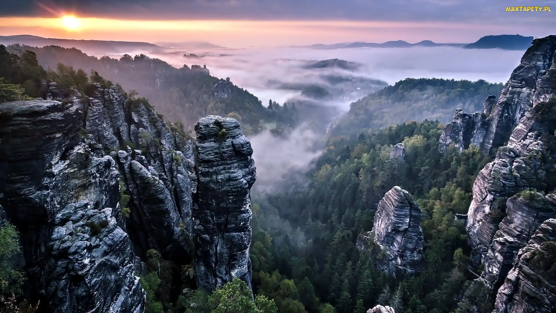 Góry, Mgła, Zachód Słońca, Drzewa, Alpy