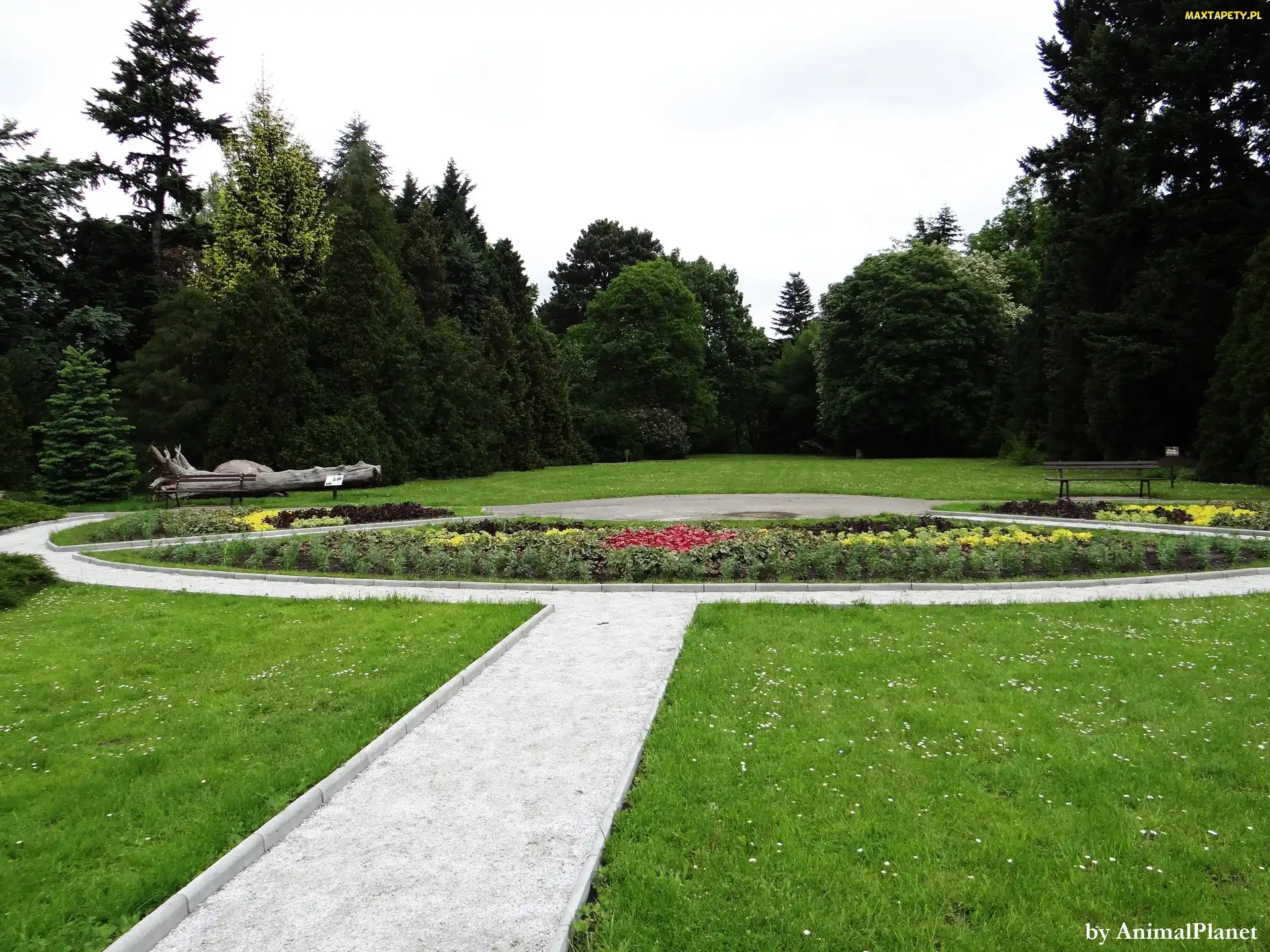 Park, Ławka, Alejka, Kwiaty