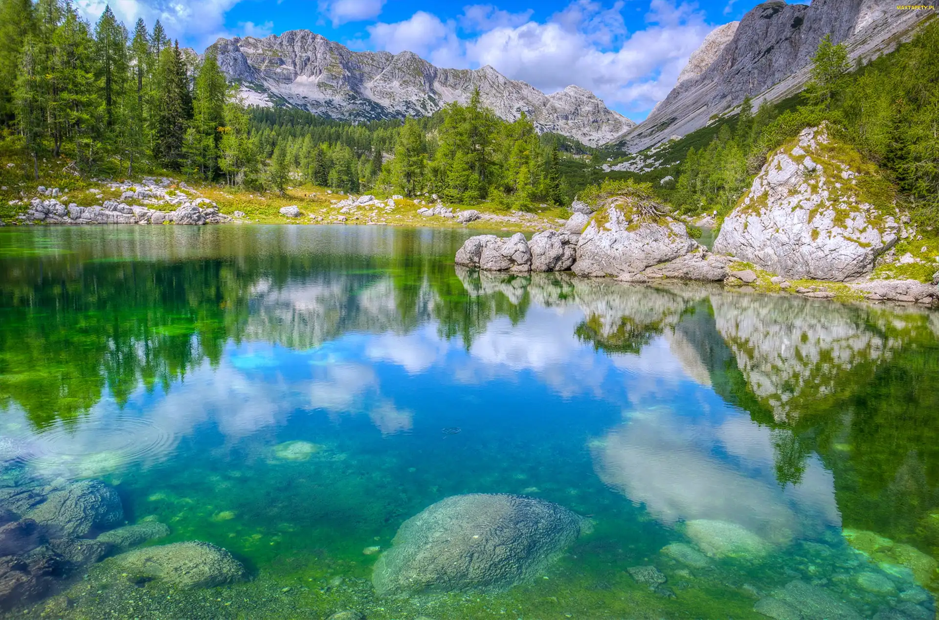 Kamienie, Las, Góry, Jezioro