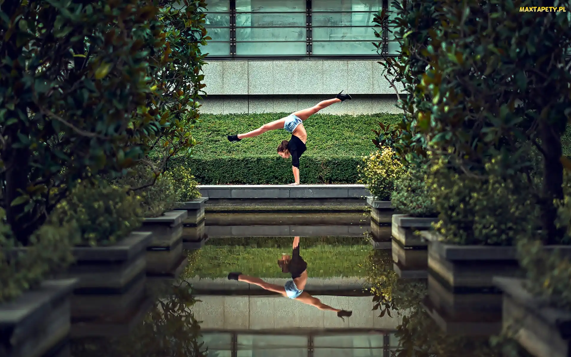 Fitness, Basen, Kobieta, Gimnastyka