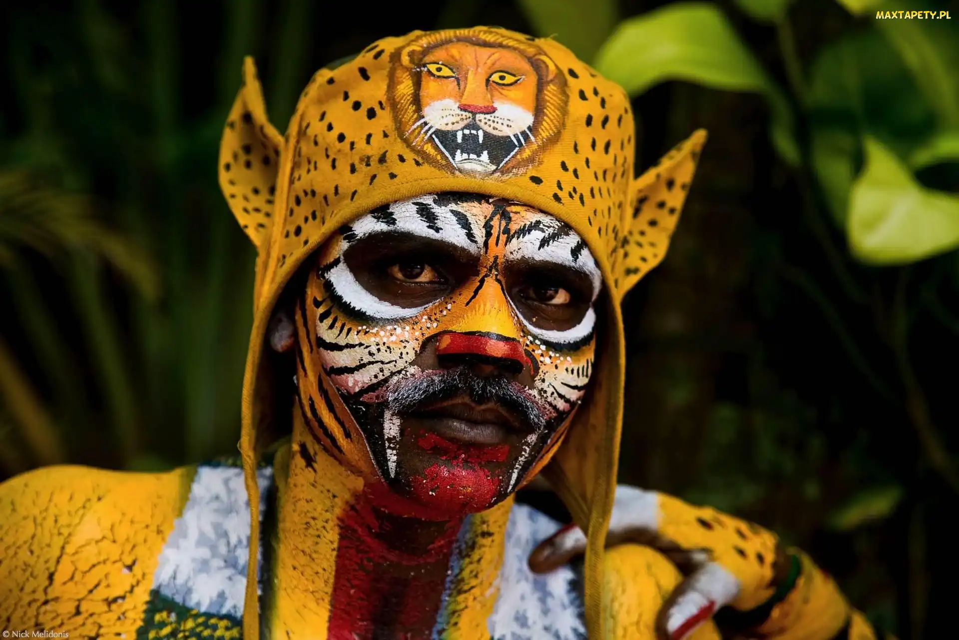 Tygrys, Bodypainting, Mężczyzna