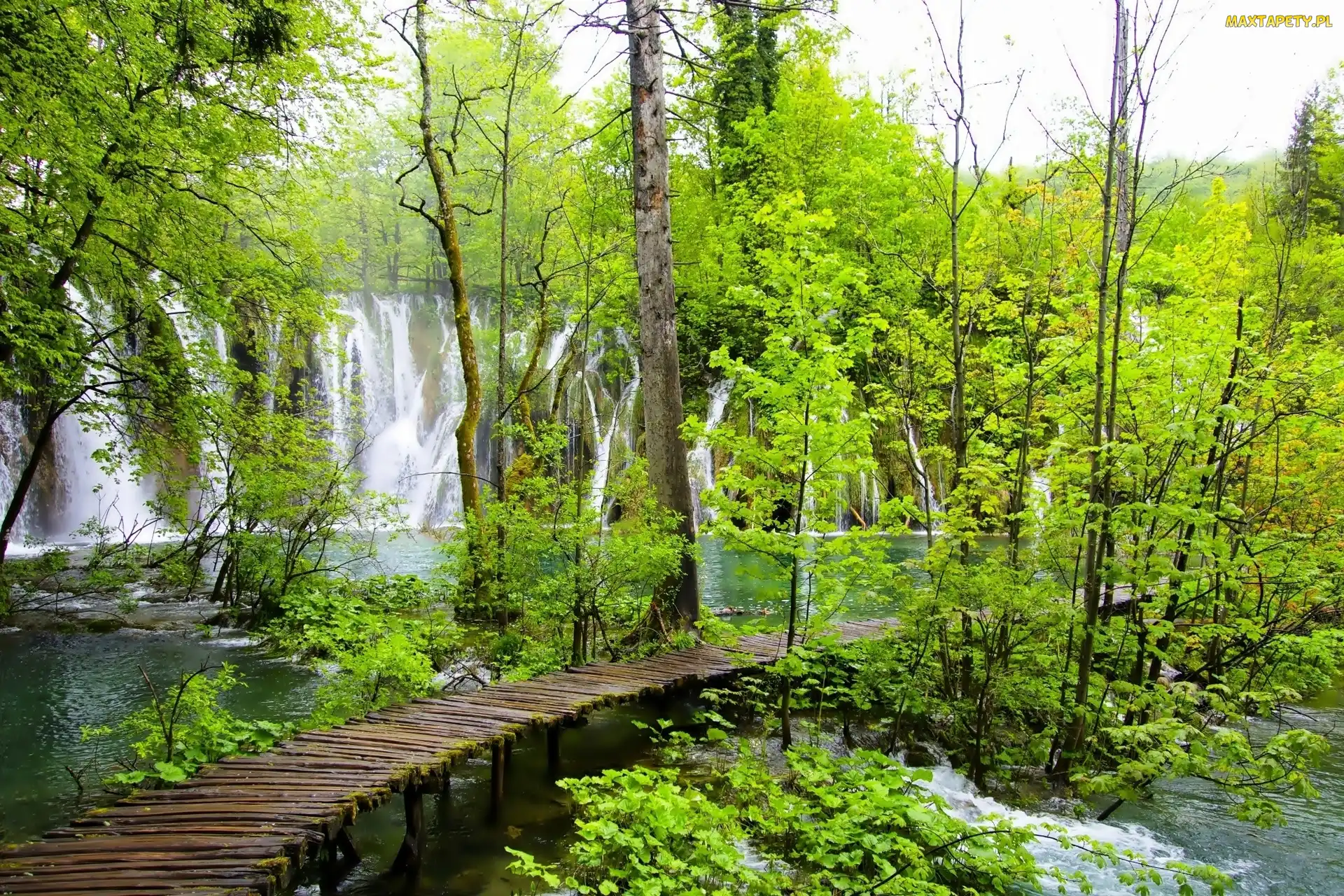 Las, Chorwacja, Plitvice, Pomost, Wodospad