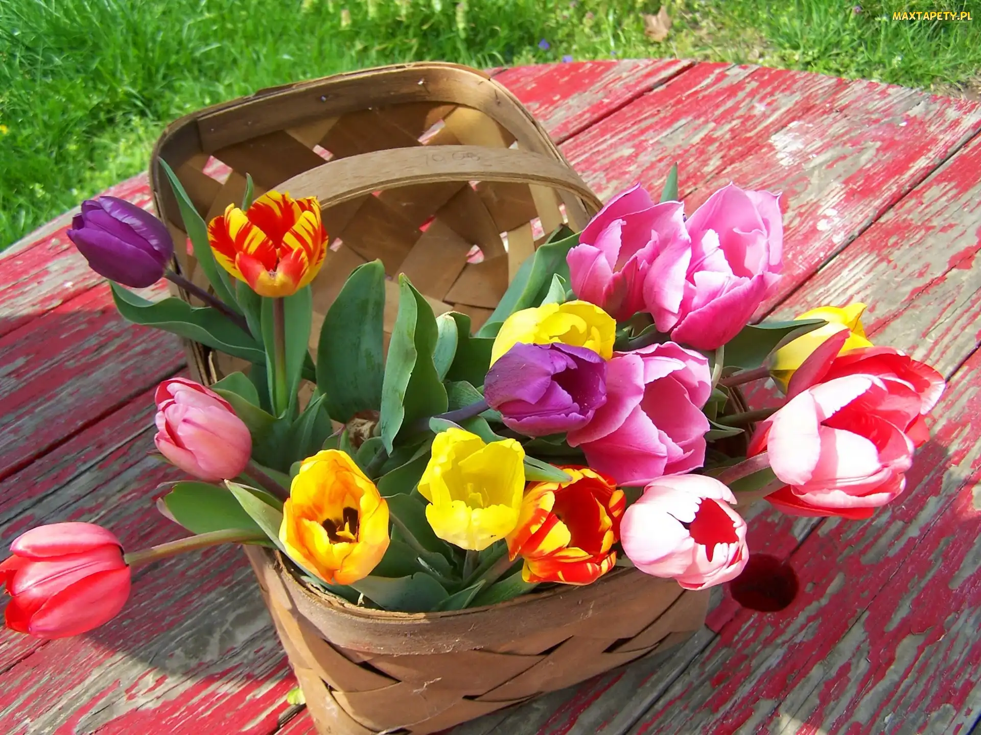 Stół, Koszyk, Kolorowe, Tulipany