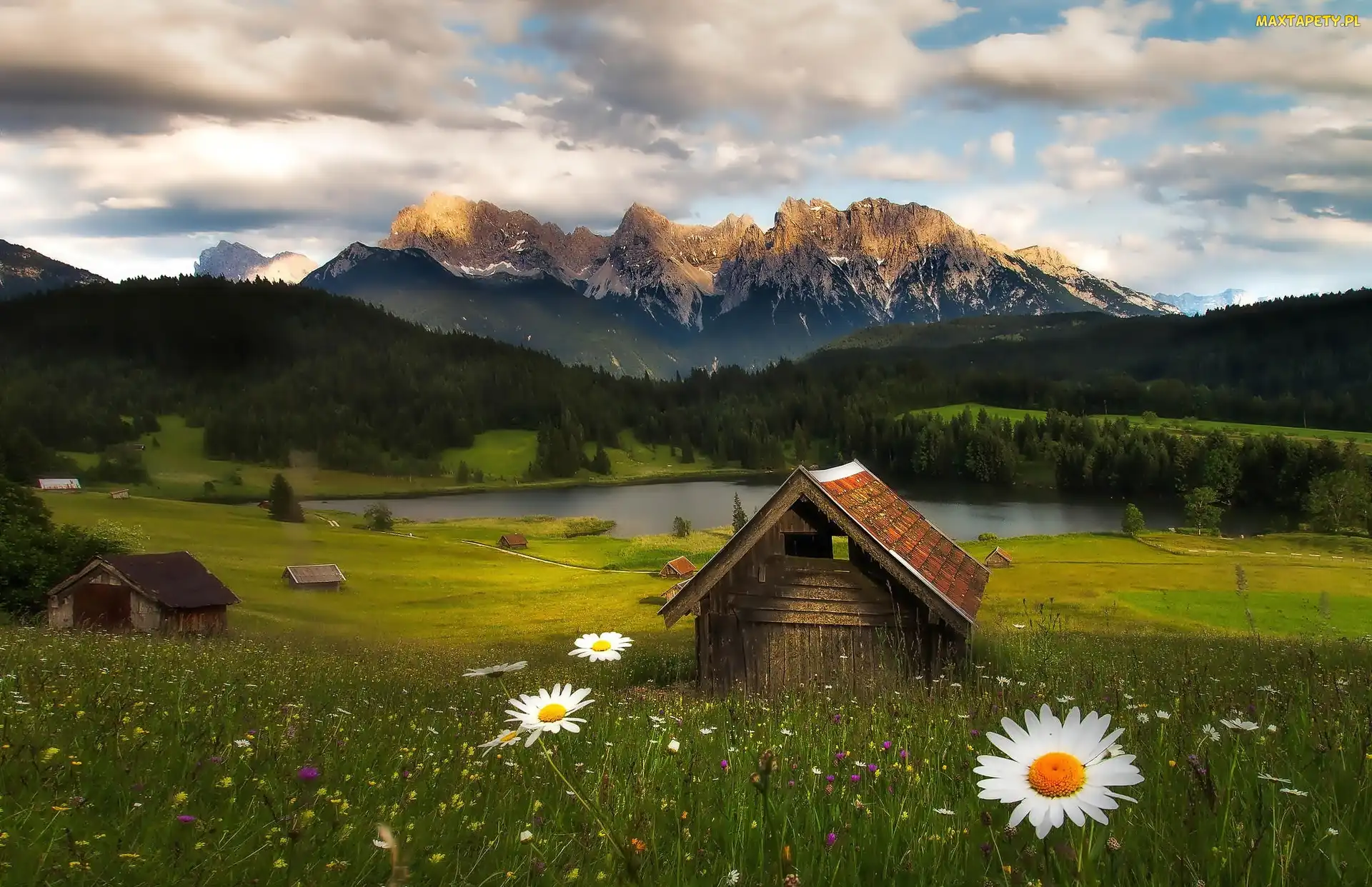 Jezioro Geroldsee, Góry Alpy, Domki, Niemcy, Kwiatki, Łąka, Bawaria, Lasy