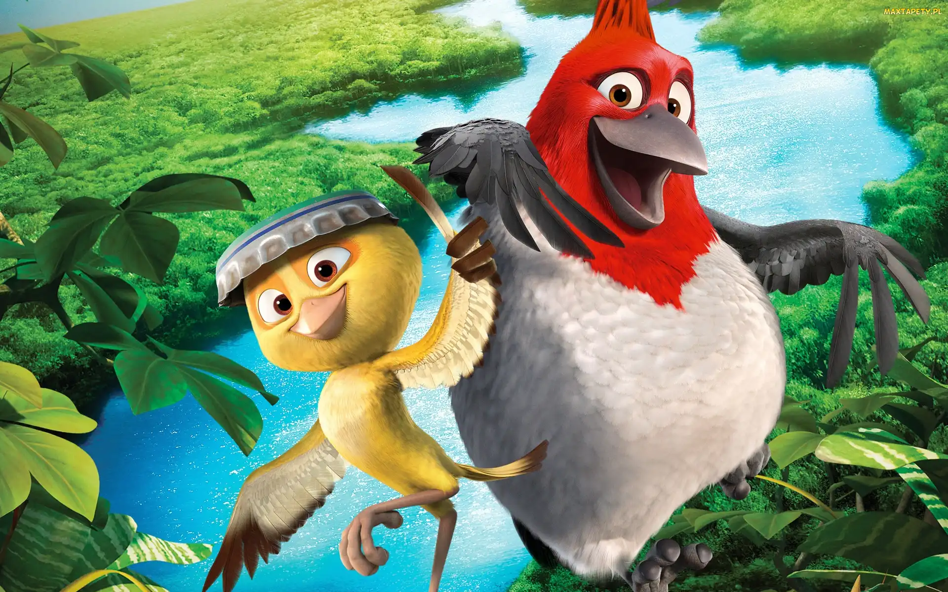 Film animowany, Rio 2, Kurczaki