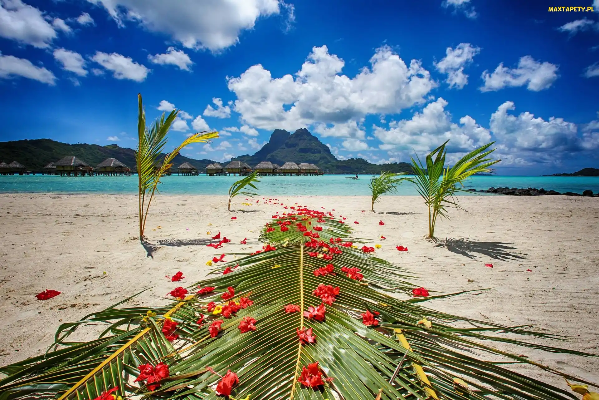 Plaża, Bora Bora, Niebo, Chmury, Morze