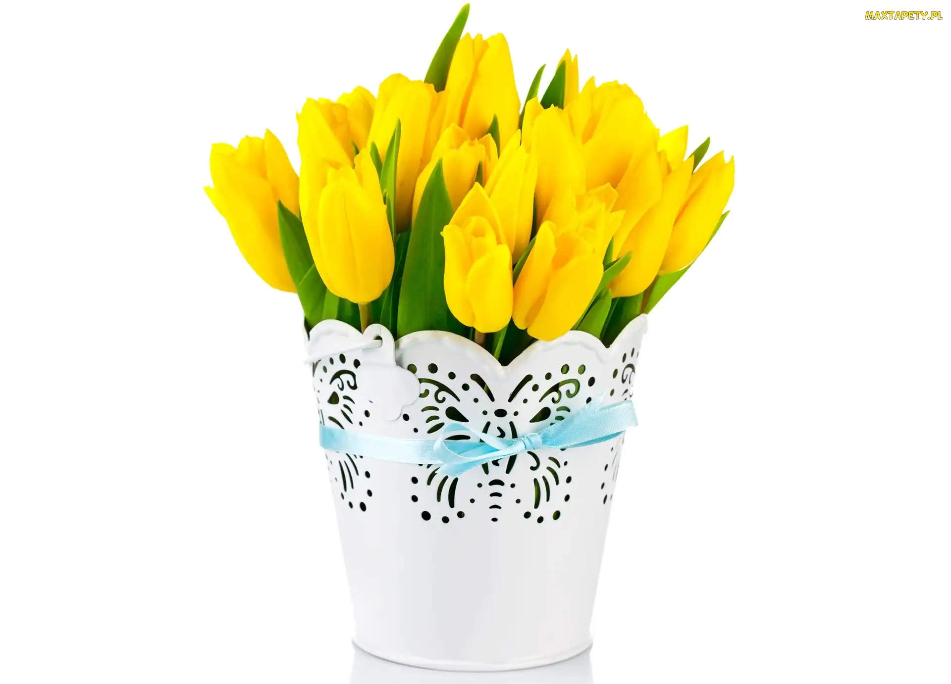 Żółte, Tulipany, Bukiet