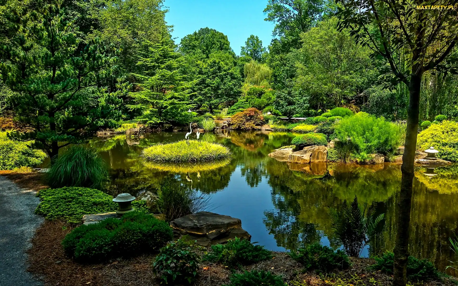 Żurawie, Zieleń, Park, Staw