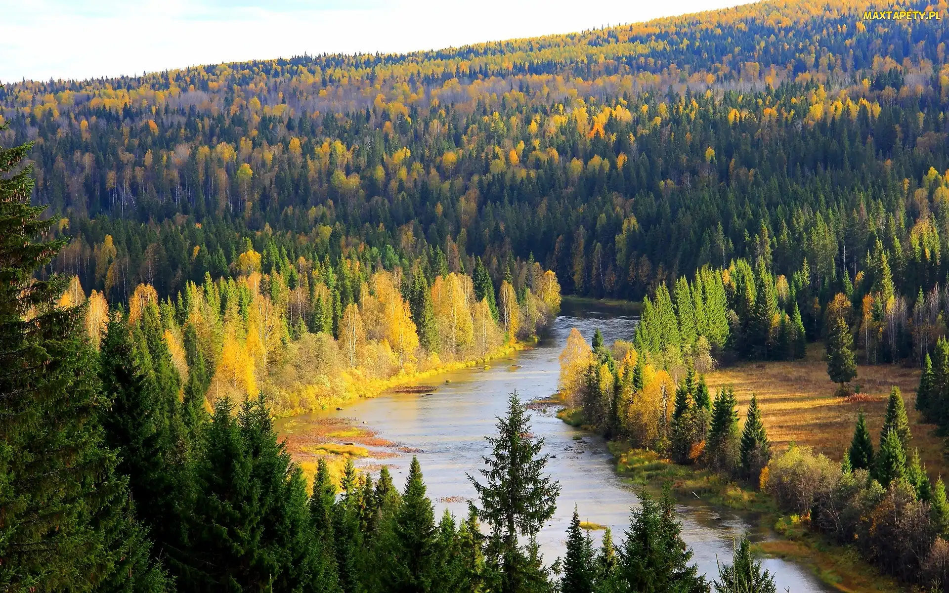 Rzeka, Wzgórza, Las