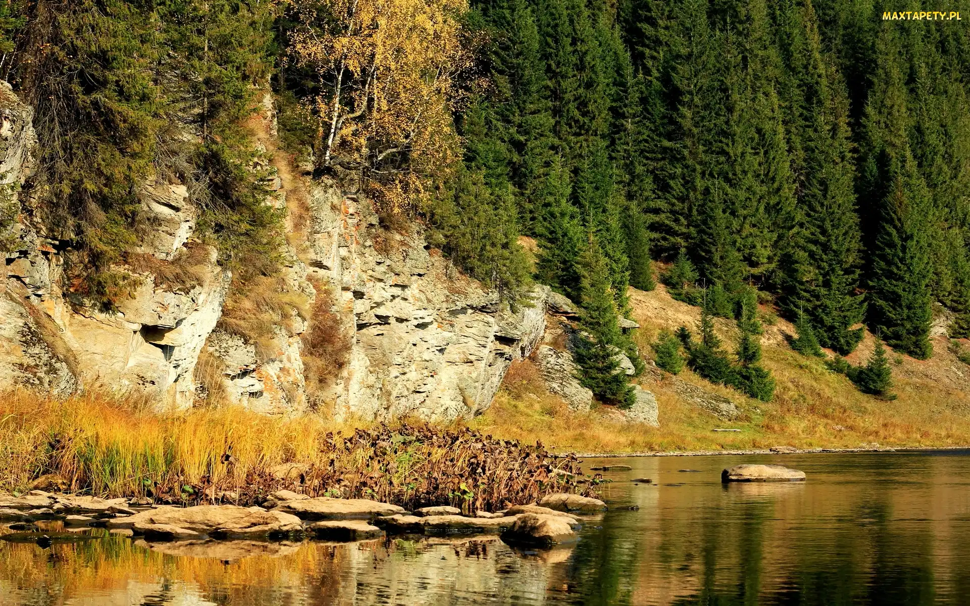 Las, Rzeka, Góry