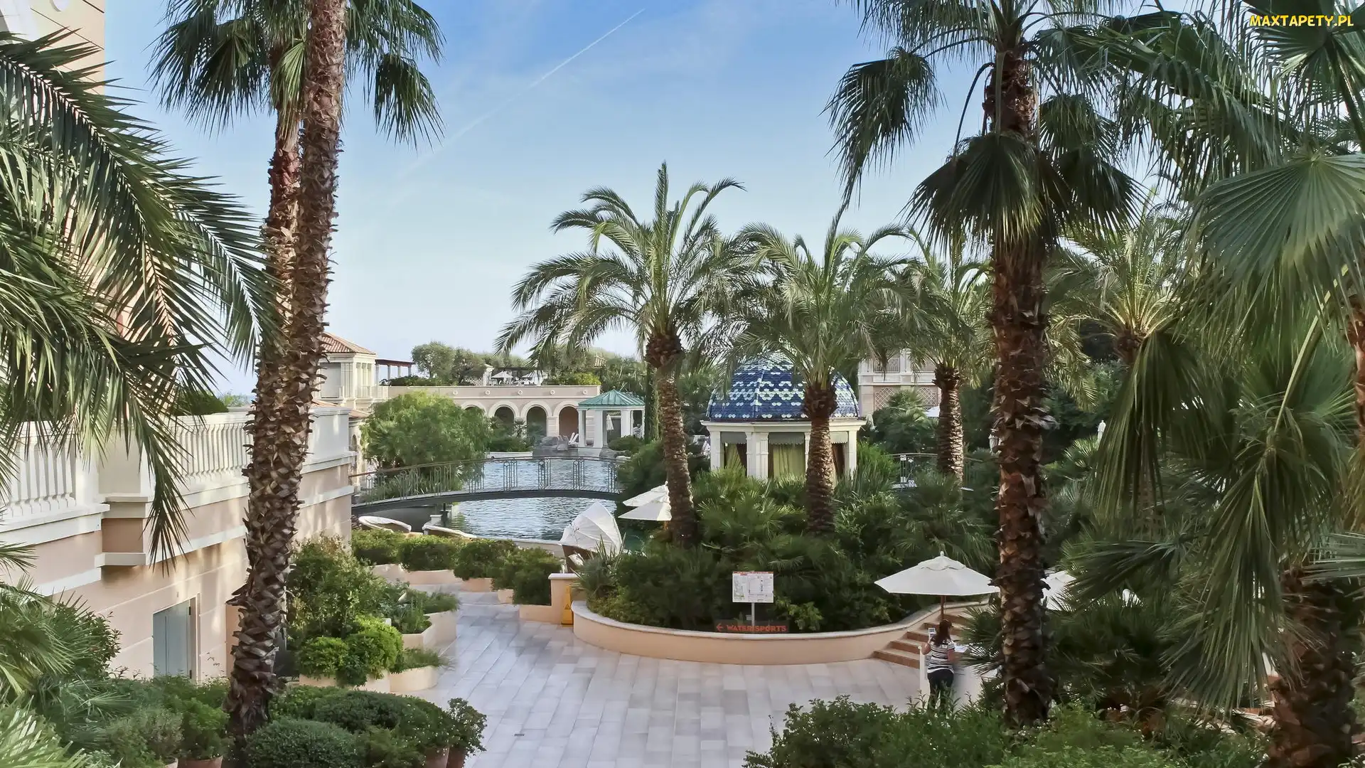 Hotel, Dziedziniec, Monako, Palmy, Parasole, Monte Carlo, Altana, Basen