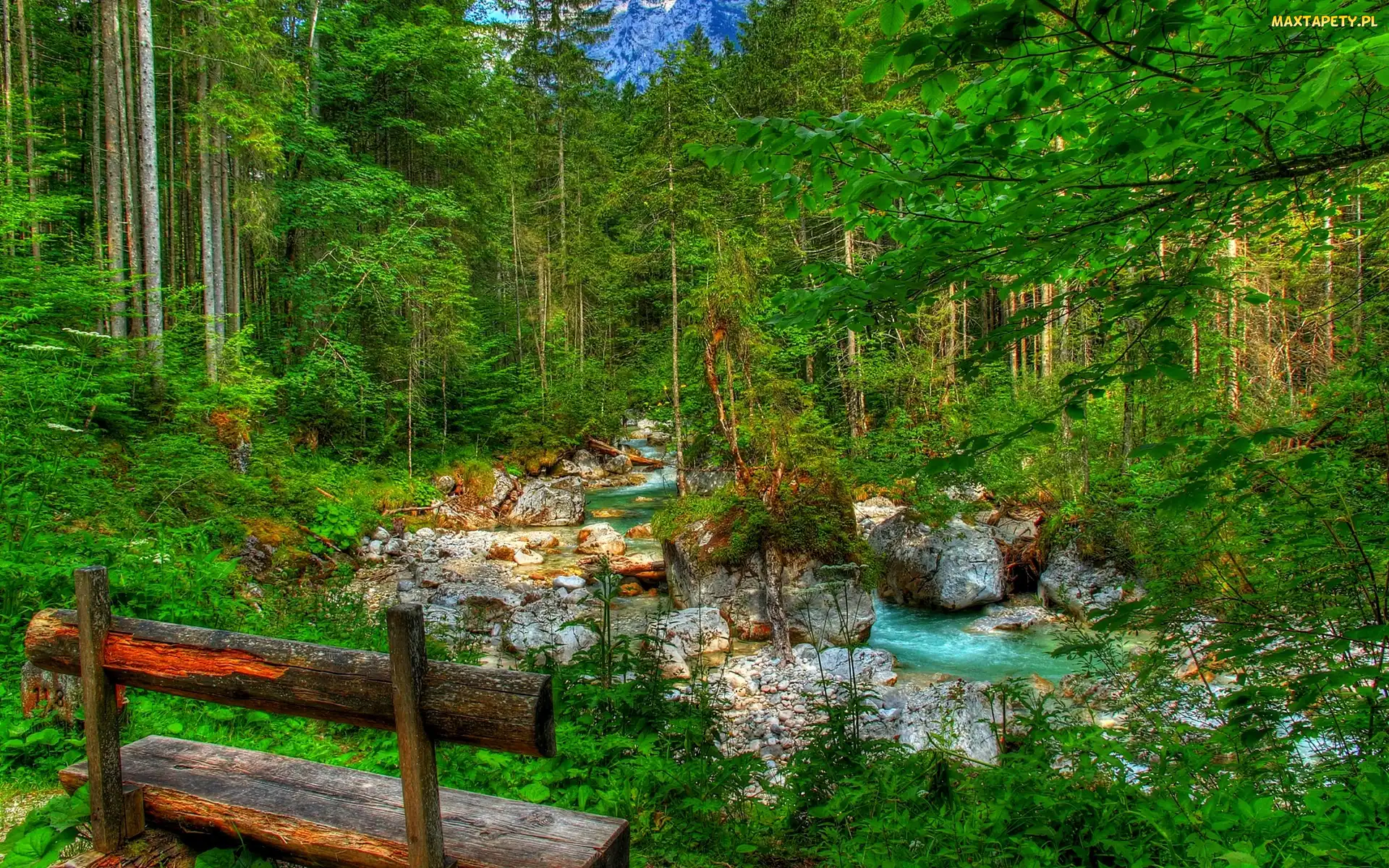 HDR, Góry, Potok, Las, Kamienie, Ławka