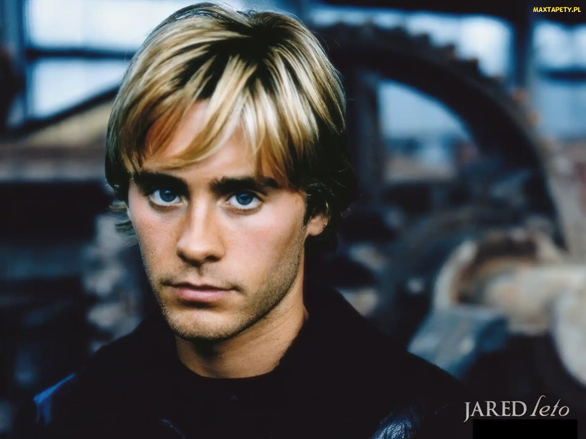 jasne włosy, niebieskie oczy, Jared Leto