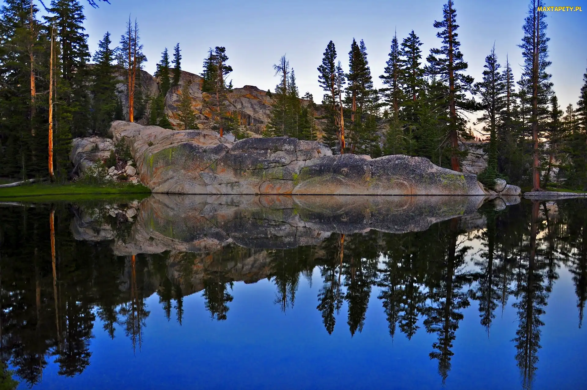 Skała, Lasy, Stan Kalifornia, Stany Zjednoczone, Park Narodowy Yosemite, Góry