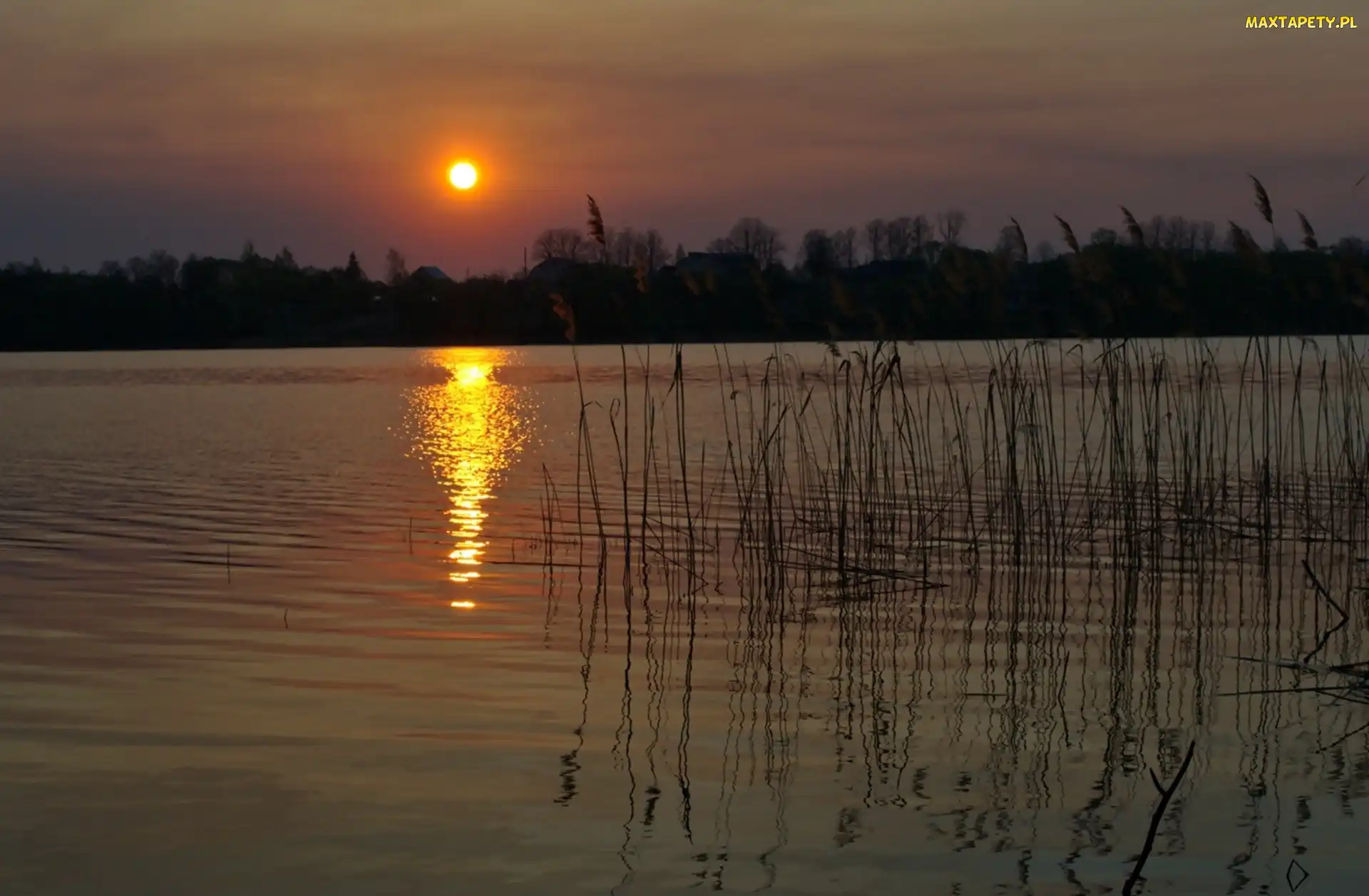 Jezioro, Księżyc, Noc