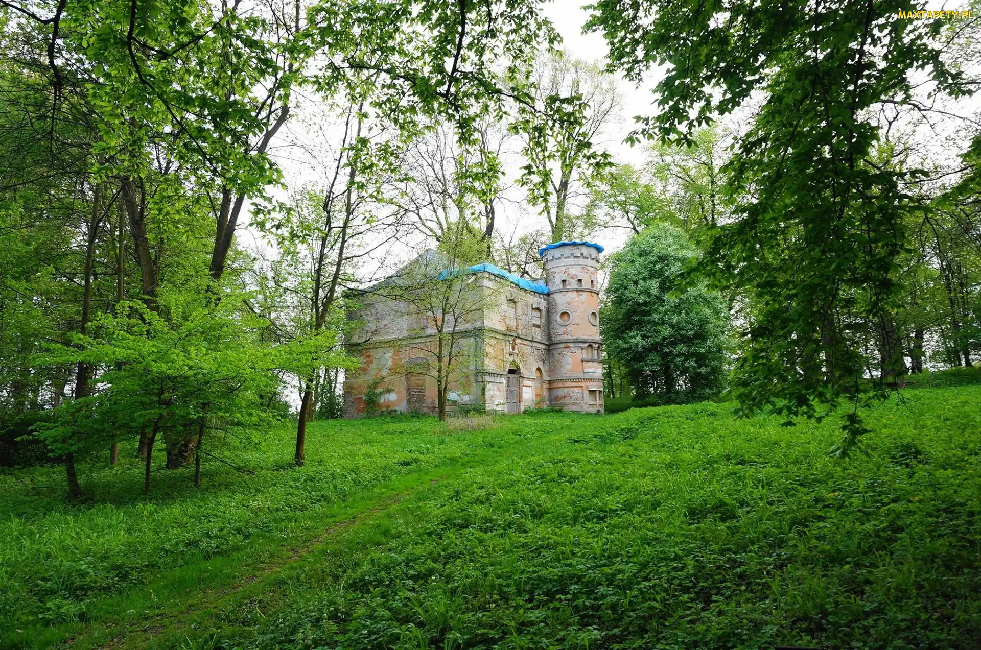 Ruina, Drzewa, Budowla