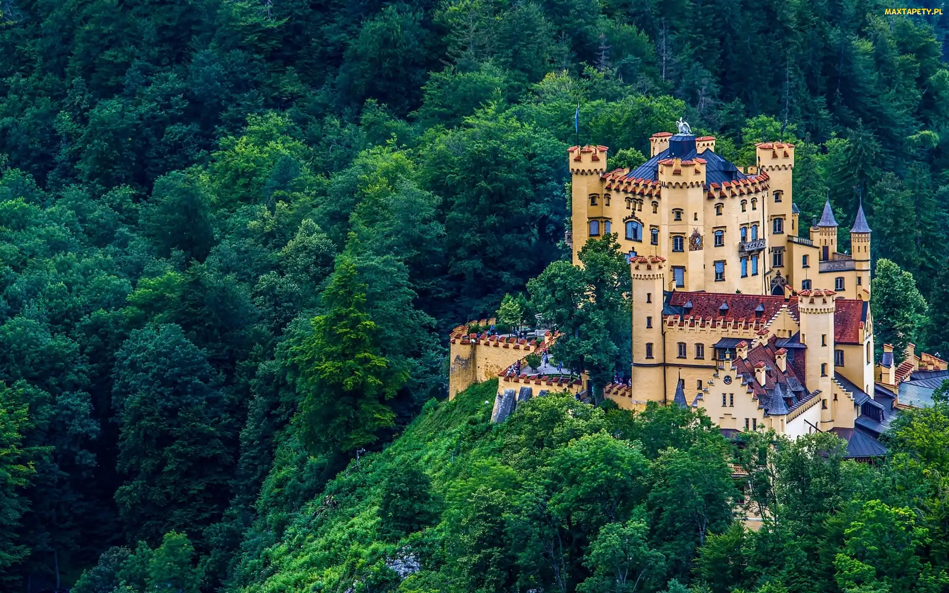 Zamek, Niemcy, Góry, Las, Hohenschwangau