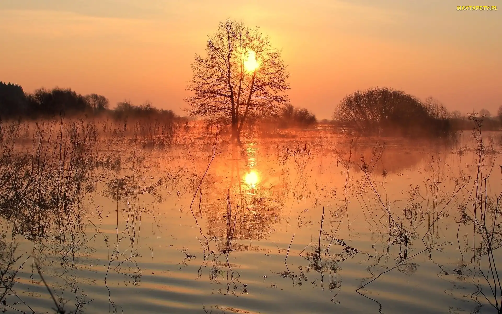 Mgła, Wschód słońca, Jezioro