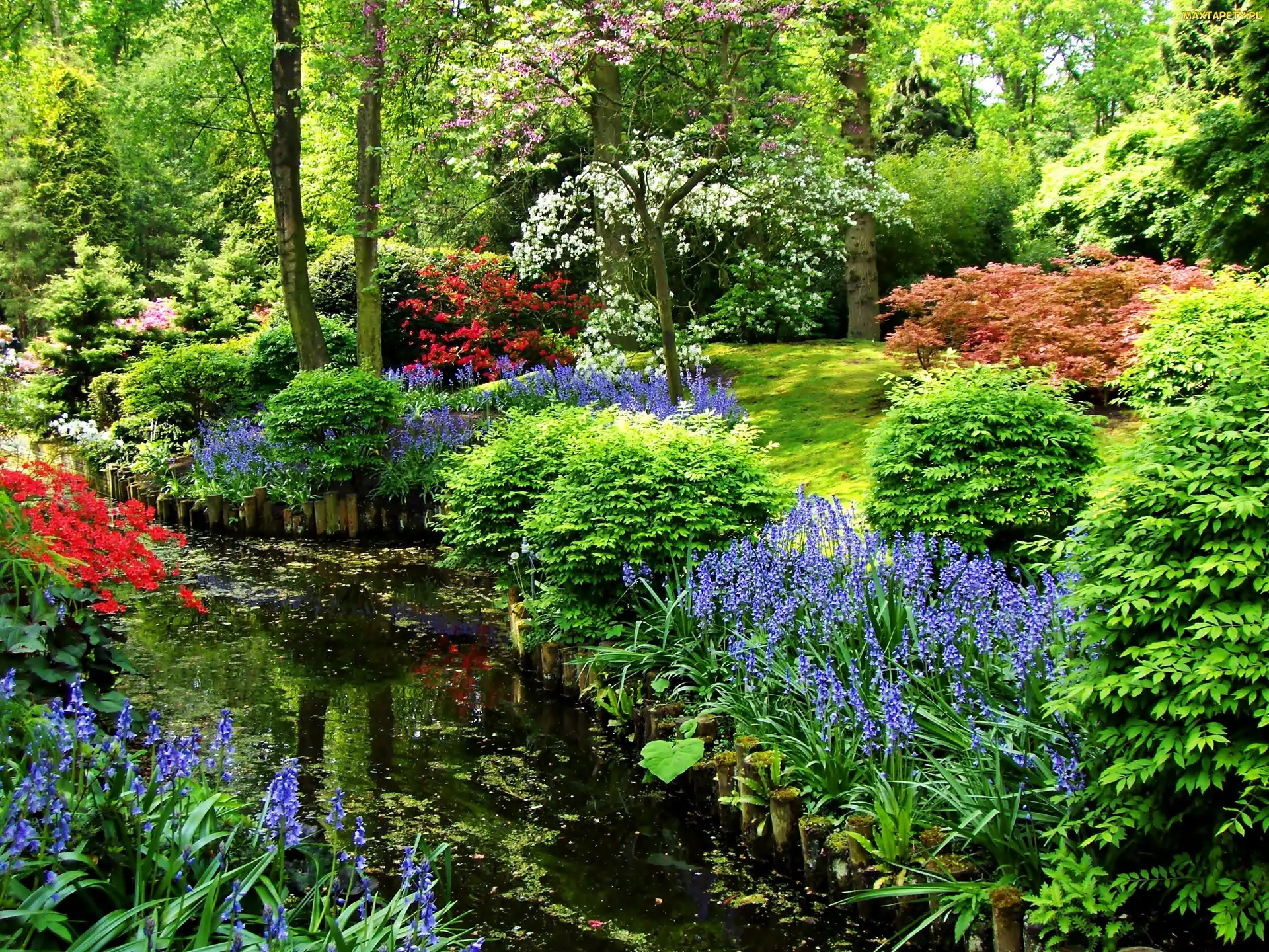 Park, W Lisse, Staw, Keukenhof, Wiosna