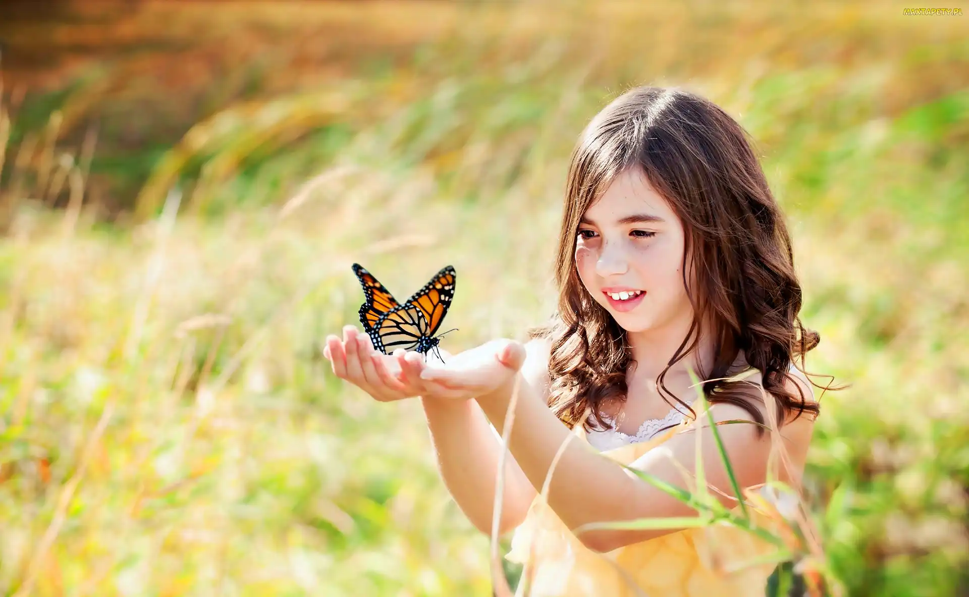 Łąka, Motyl, Lato, Dziewczynka