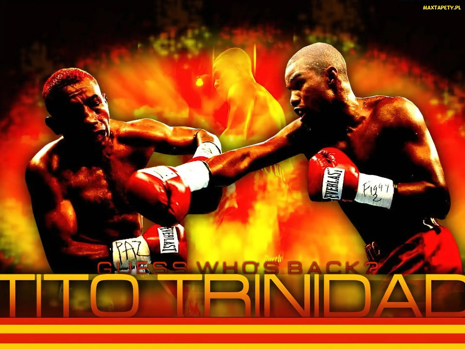 Tito Trinidad, Boks
