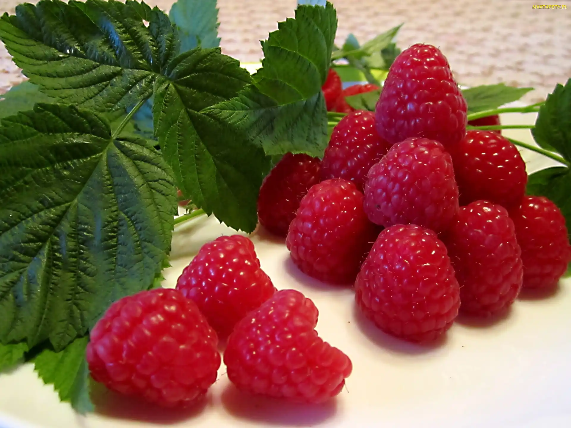 Listki, Maliny